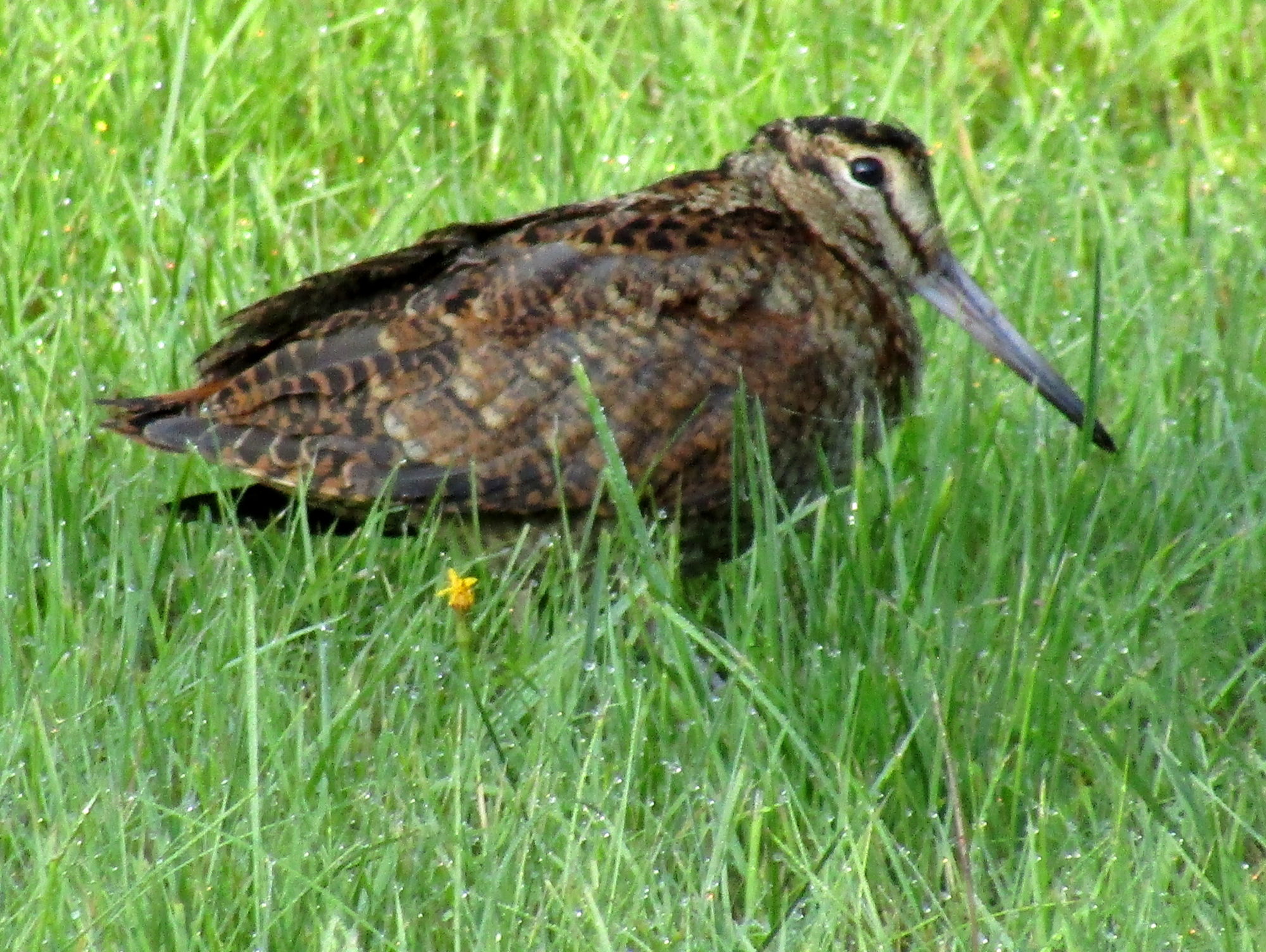 Valokuvaaja: Sirkka Ruotoistenmäki