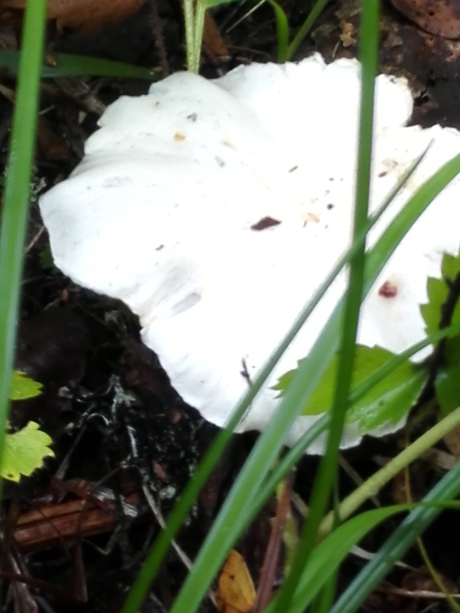 Valokuvaaja: Eeva-Riitta Silvast