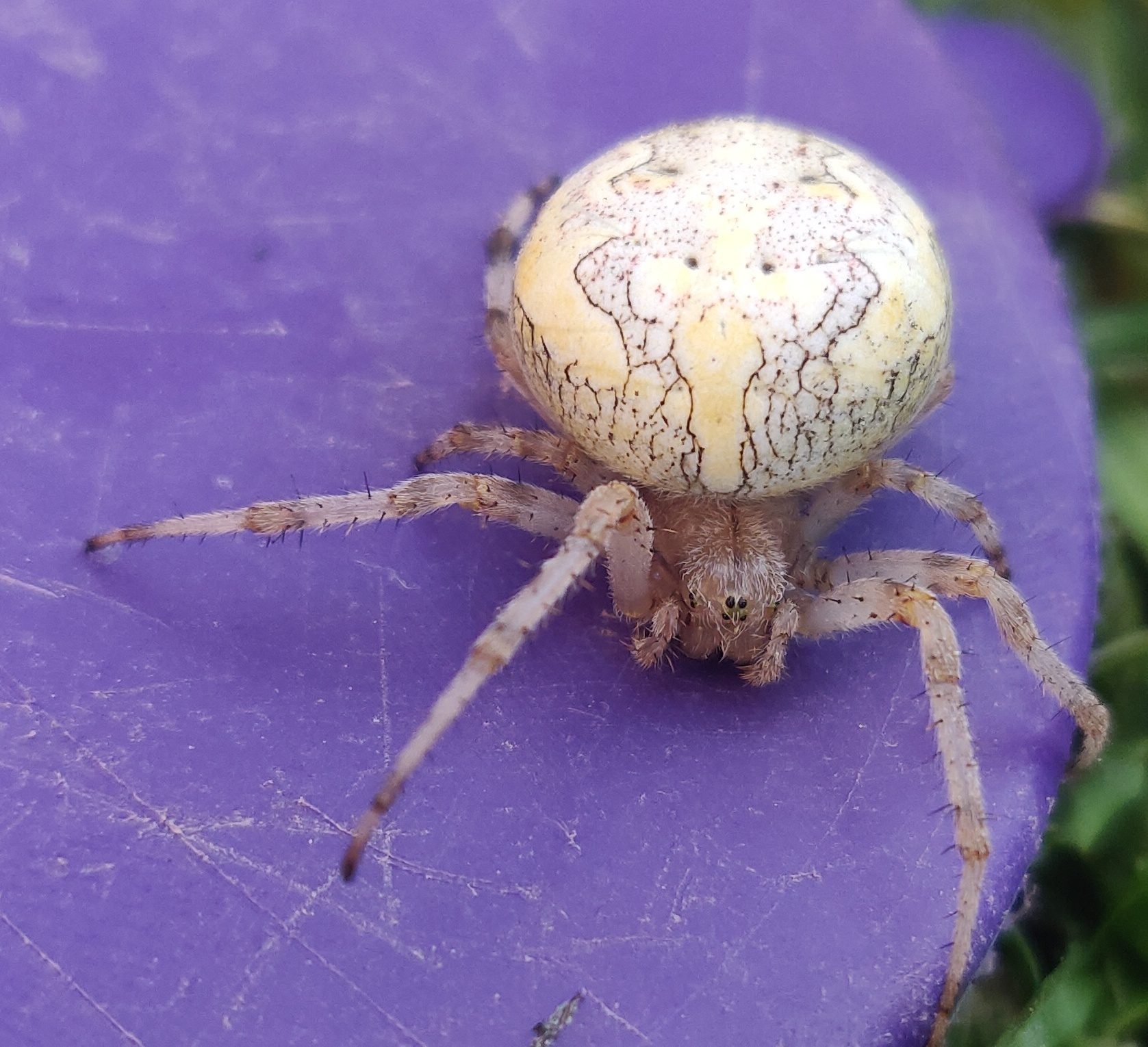 Valokuvaaja: Roosa Jokijärvi Valokuvaaja: Roosa Jokijärvi