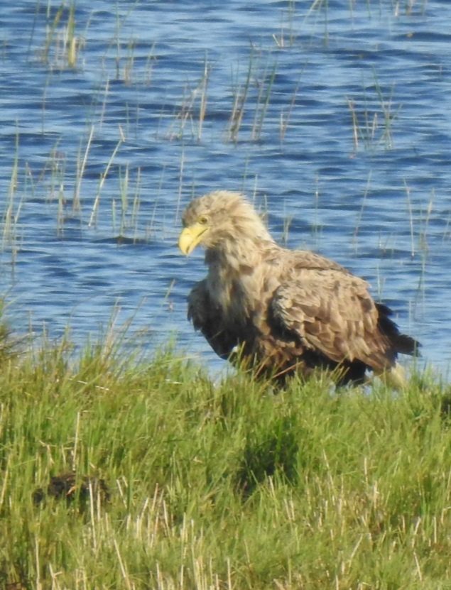 Valokuvaaja: Anne Hartikainen