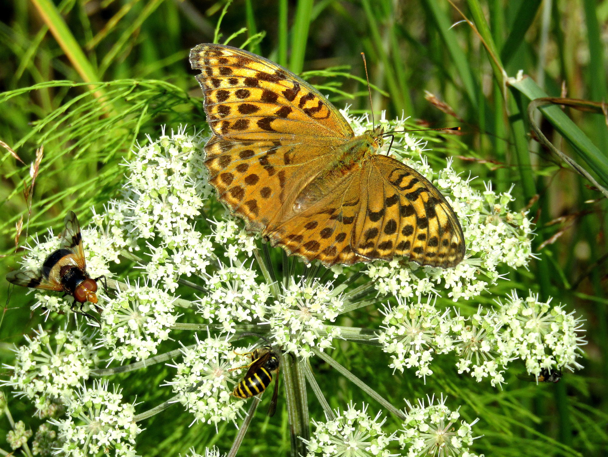 Valokuvaaja: Sirkka Ruotoistenmäki Valokuvaaja: Sirkka Ruotoistenmäki