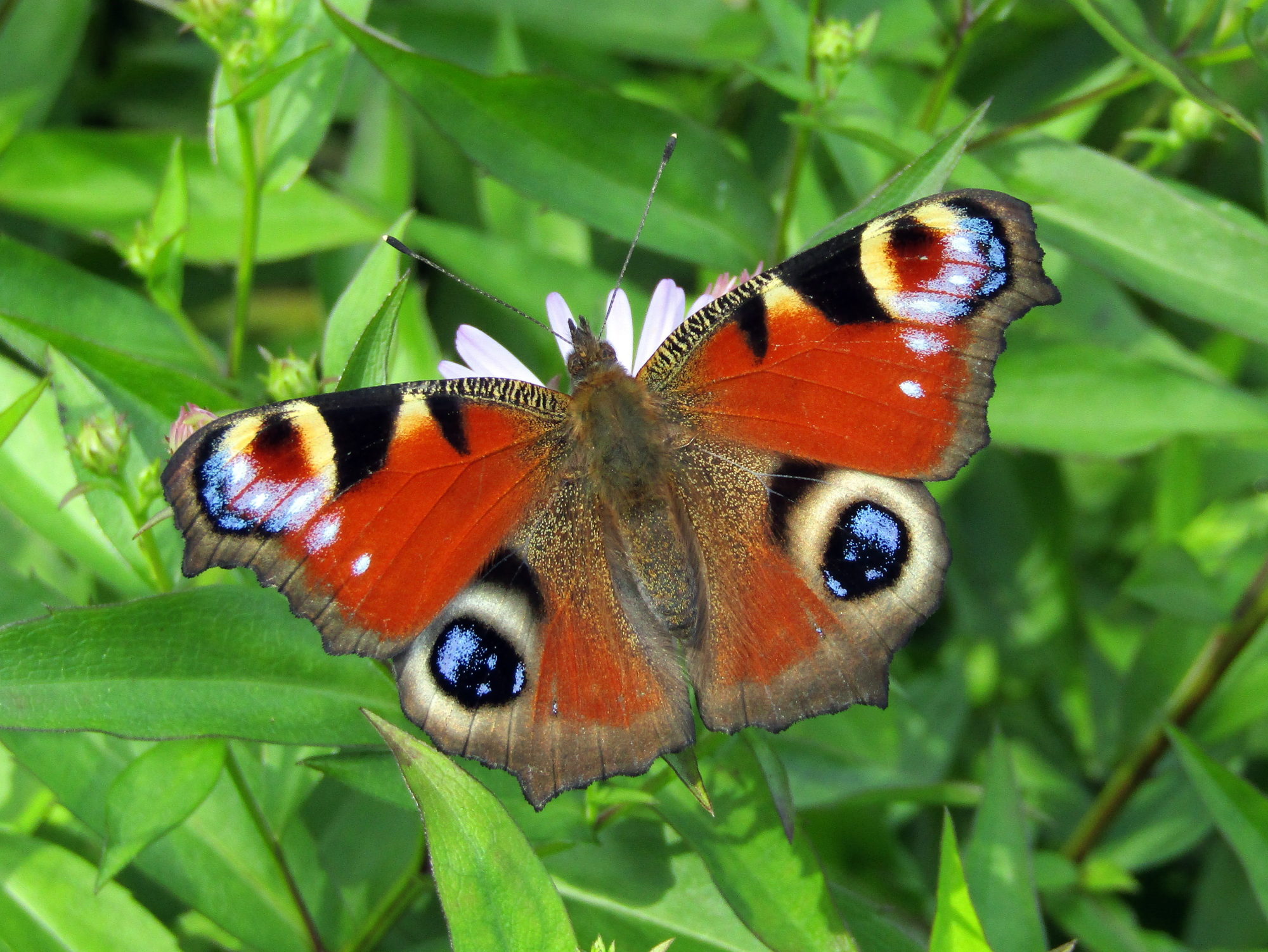 Valokuvaaja: Sirkka Ruotoistenmäki