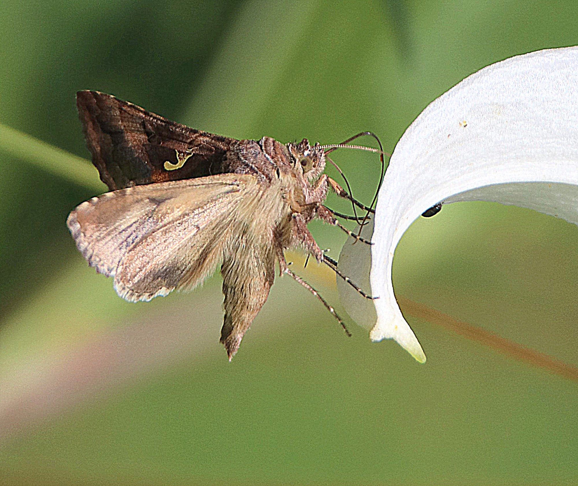 Valokuvaaja: Irja Lehtinen