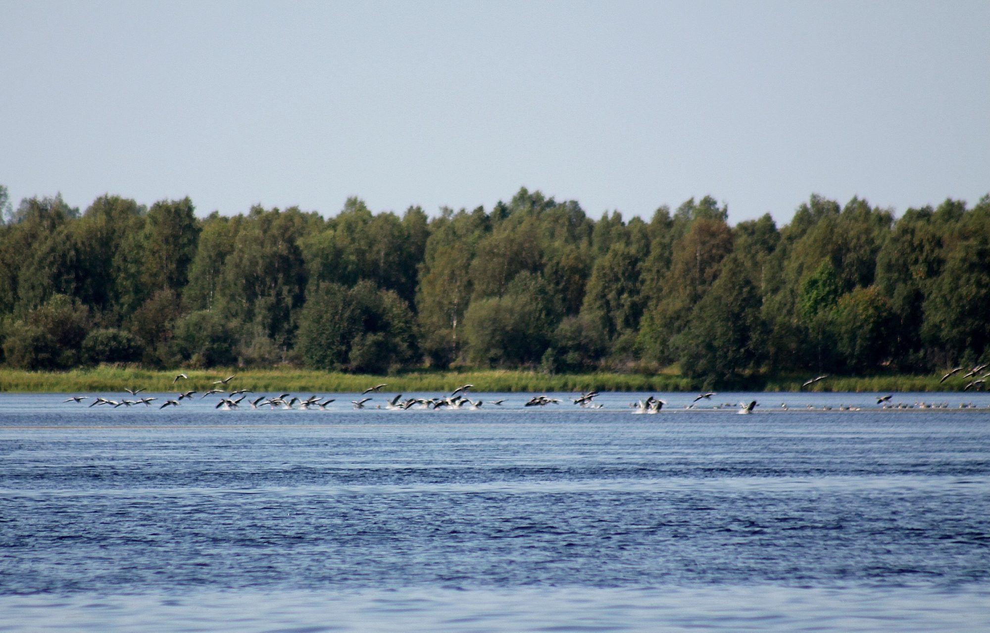 Valokuvaaja: Pirkko Siukonen