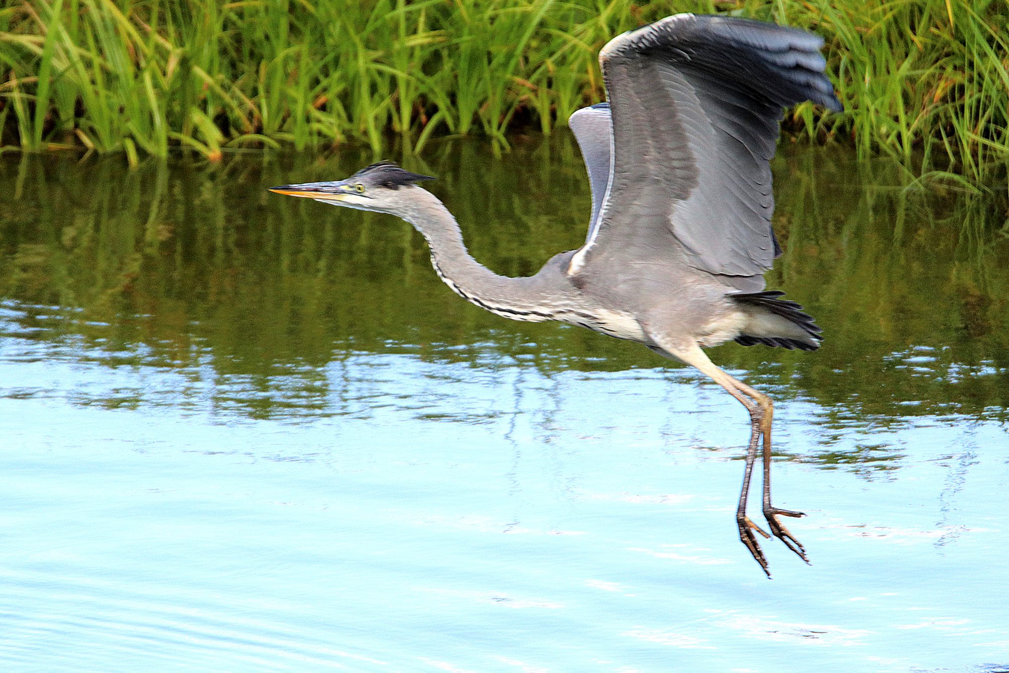 Valokuvaaja: Irja Lehtinen