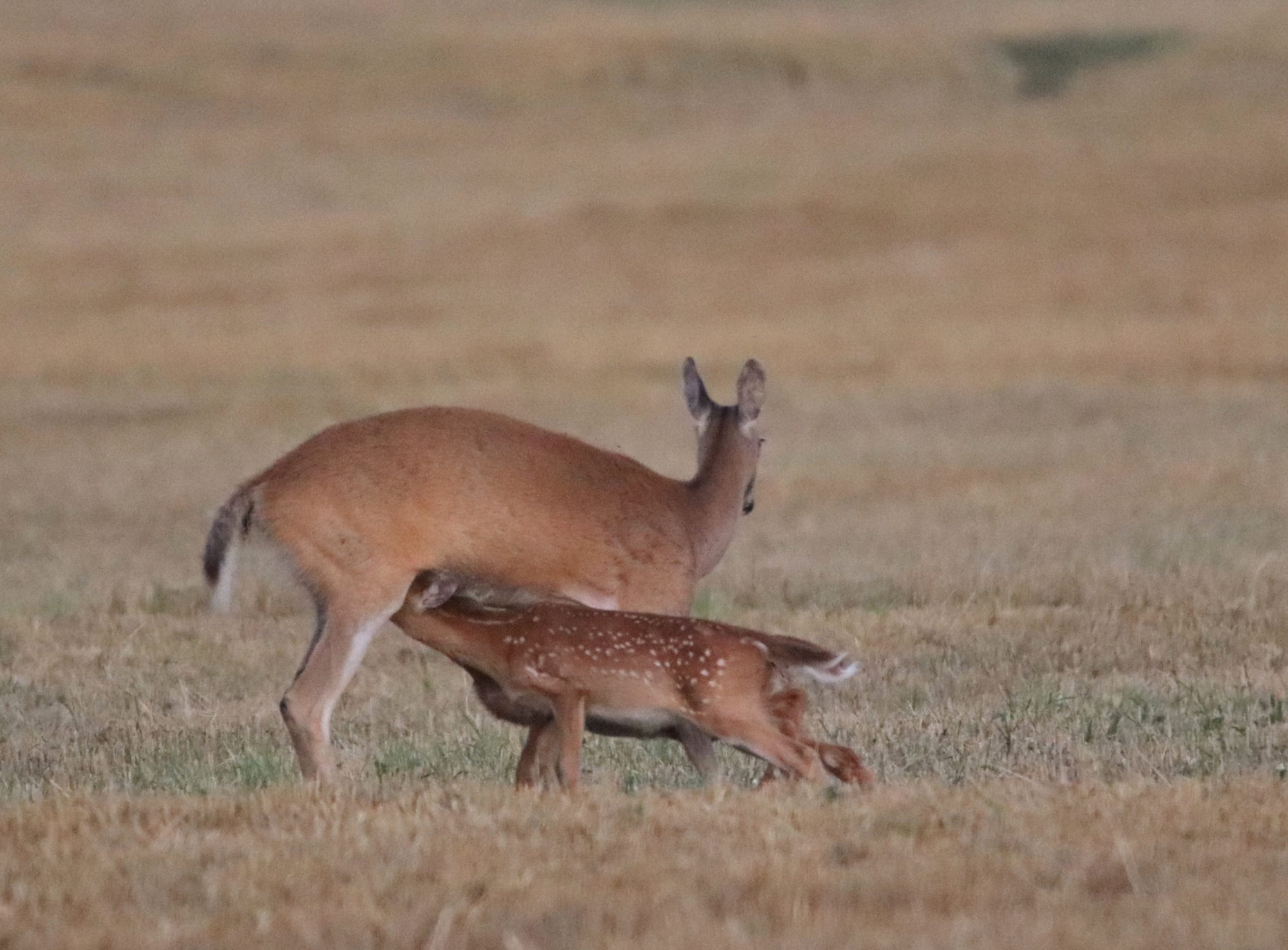 Valokuvaaja: Irja Lehtinen