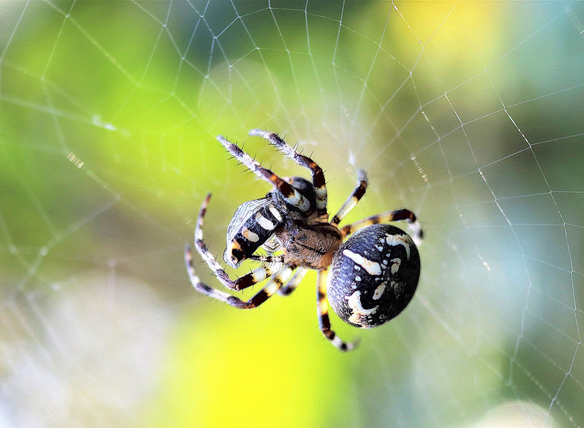 Valokuvaaja: Irja Lehtinen