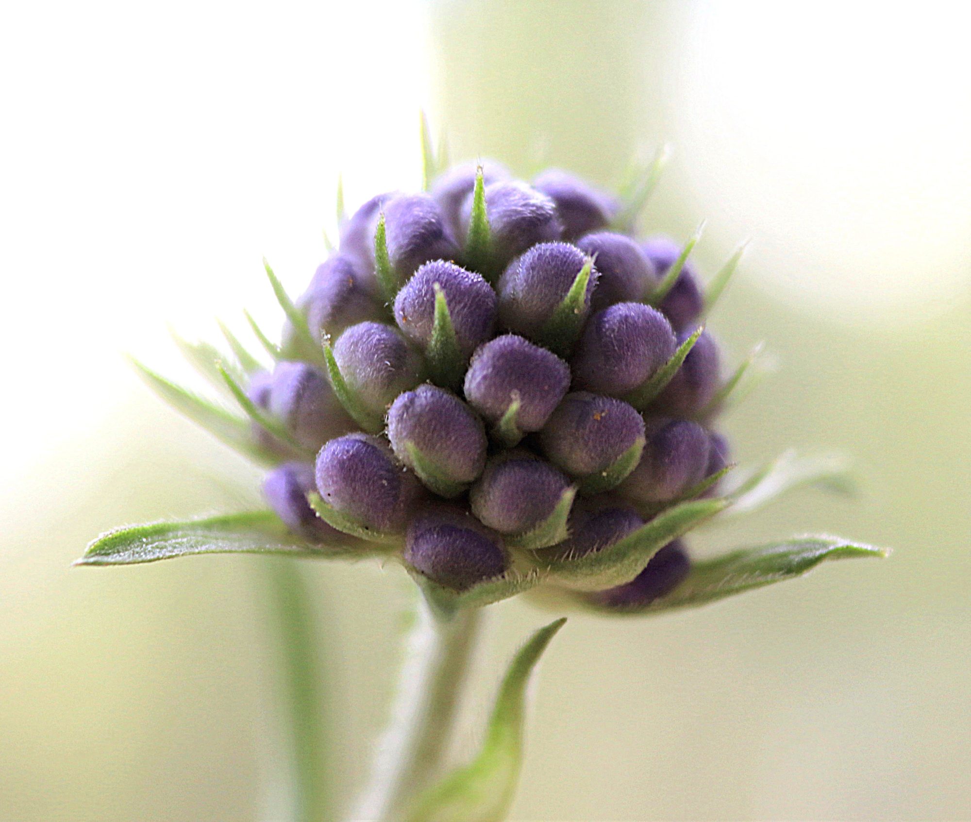 Valokuvaaja: Irja Lehtinen