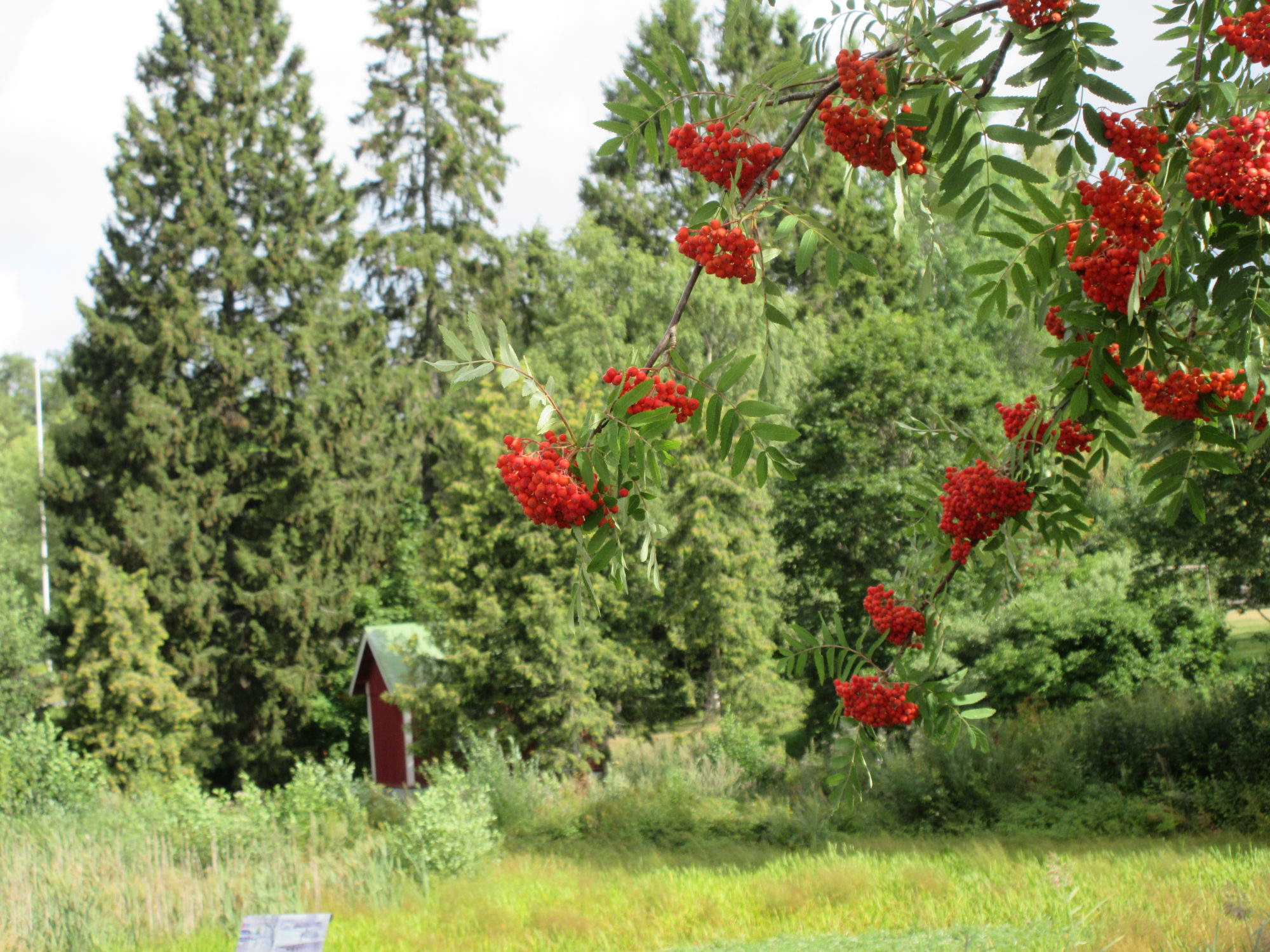 Valokuvaaja: Terttu Rantanen