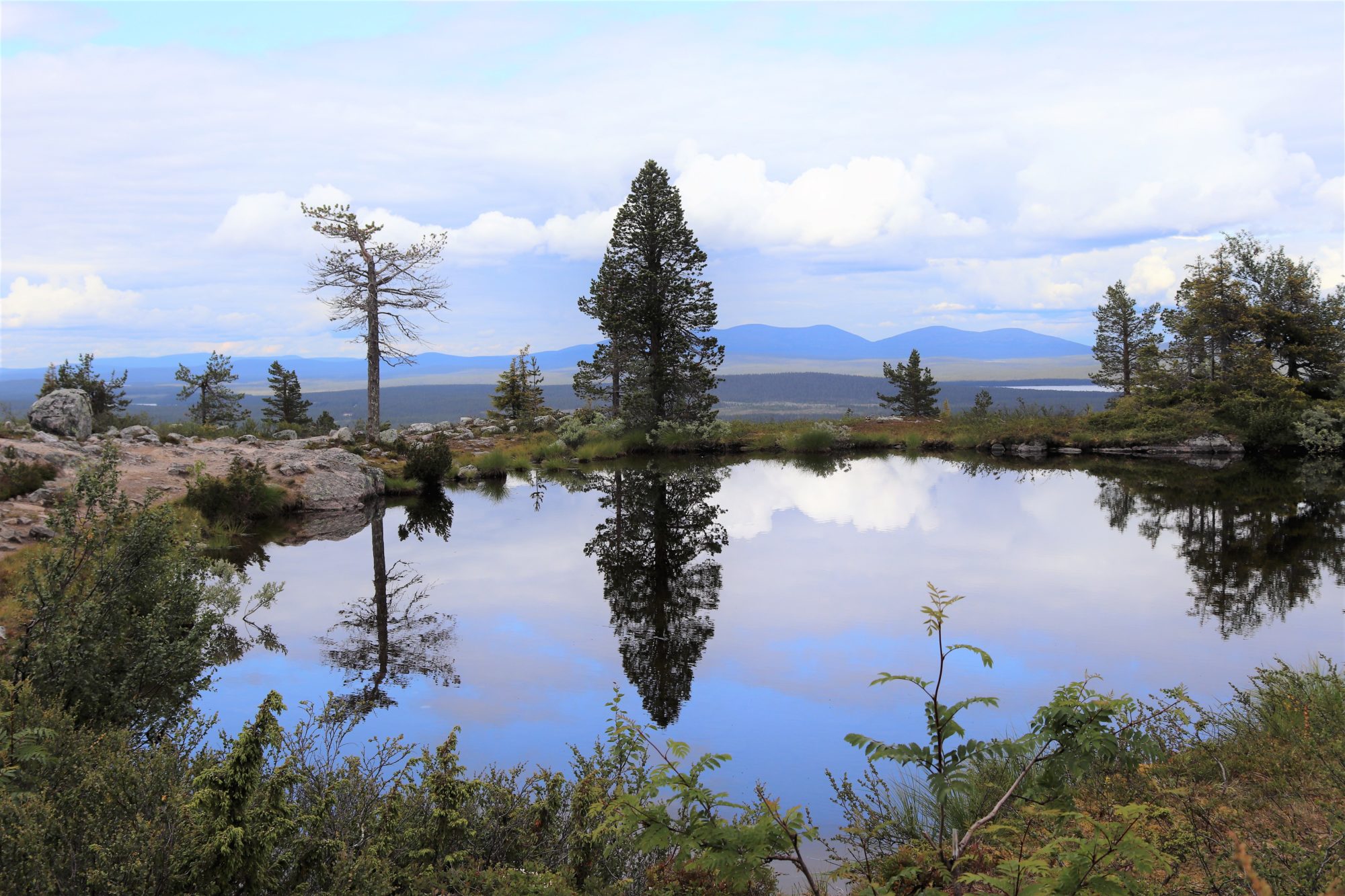 Valokuvaaja: Irja Lehtinen