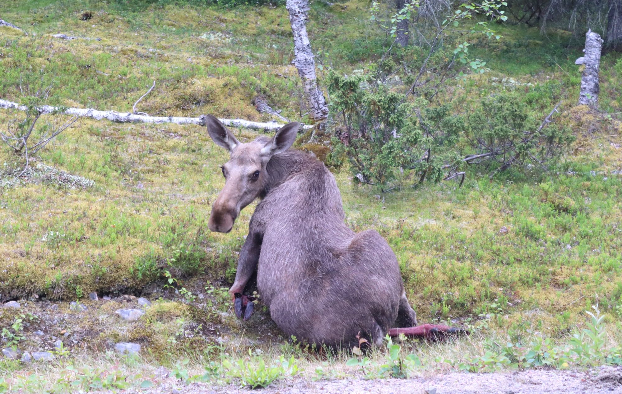 Valokuvaaja: Irja Lehtinen