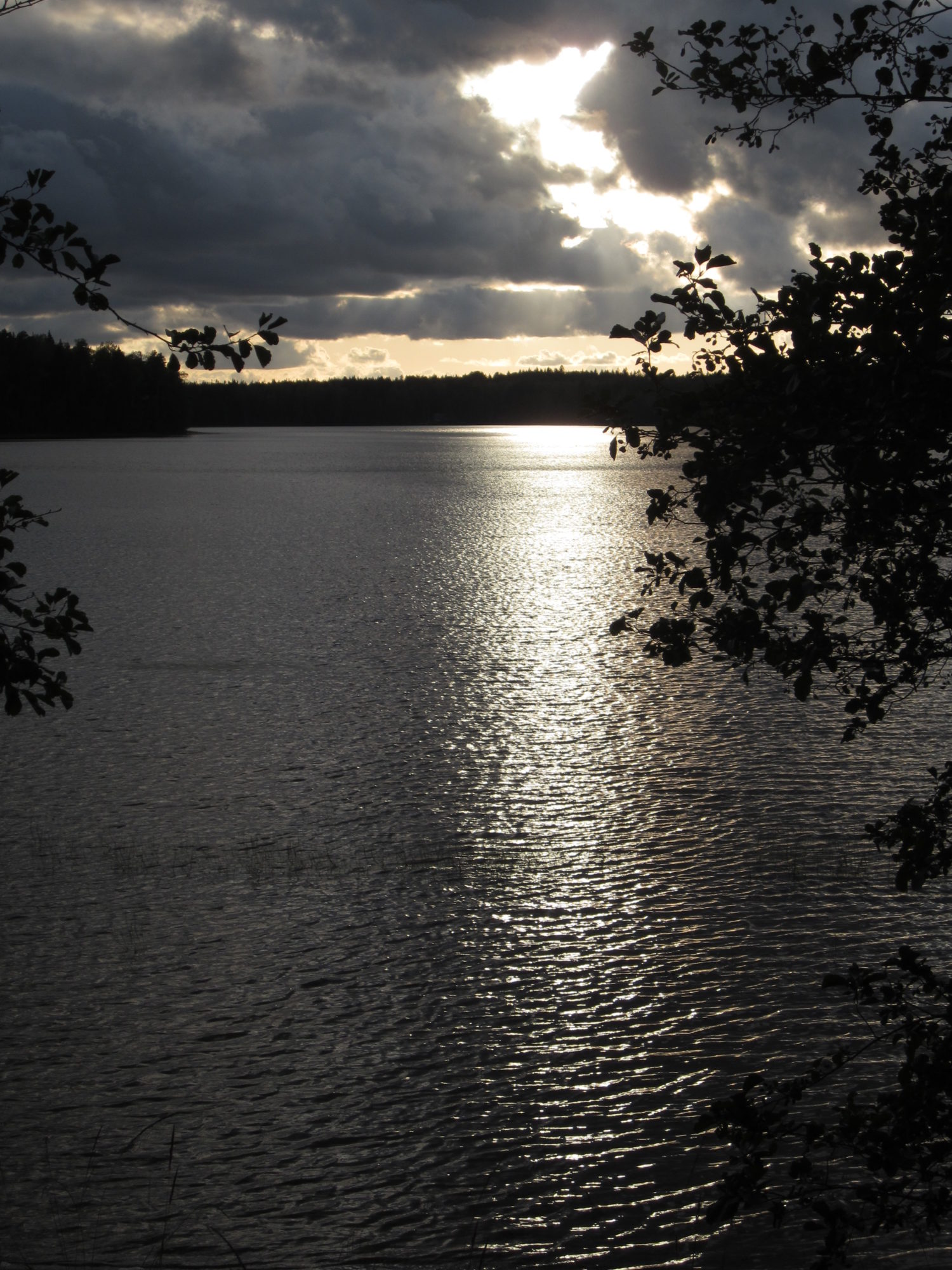 Valokuvaaja: Marita Portin Valokuvaaja: Marita Portin