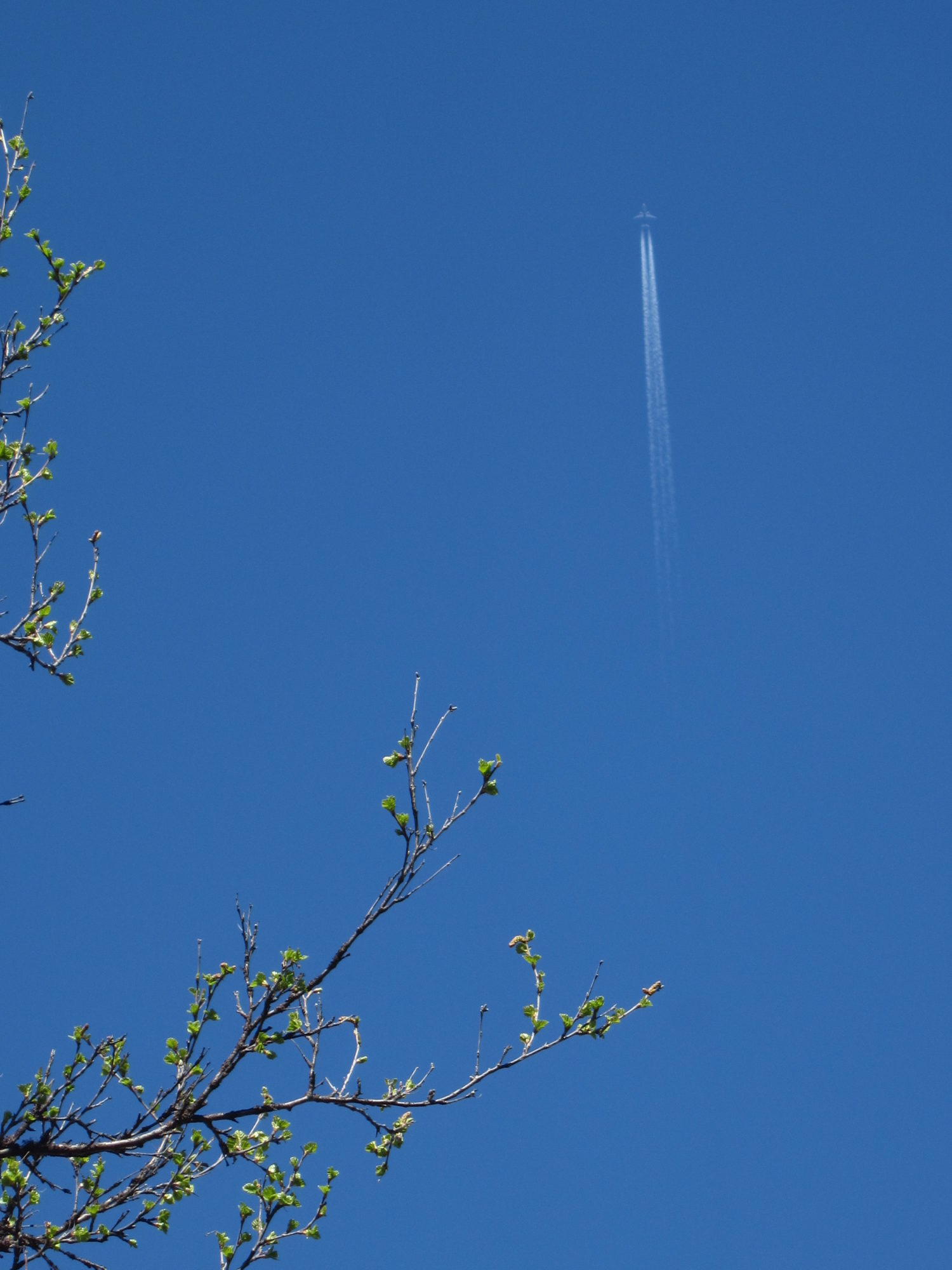 Valokuvaaja: Marita Portin Valokuvaaja: Marita Portin