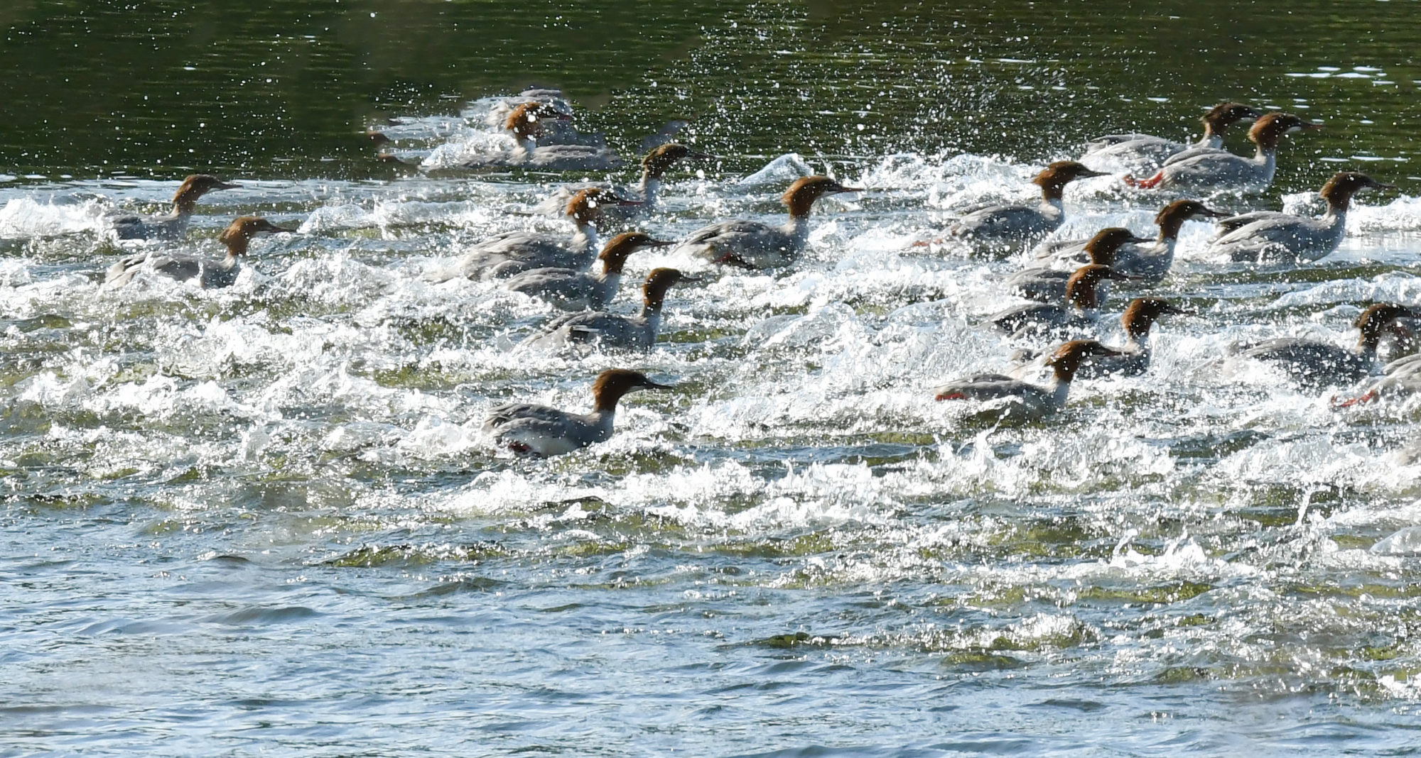 Valokuvaaja: Matti Manninen Valokuvaaja: Matti Manninen