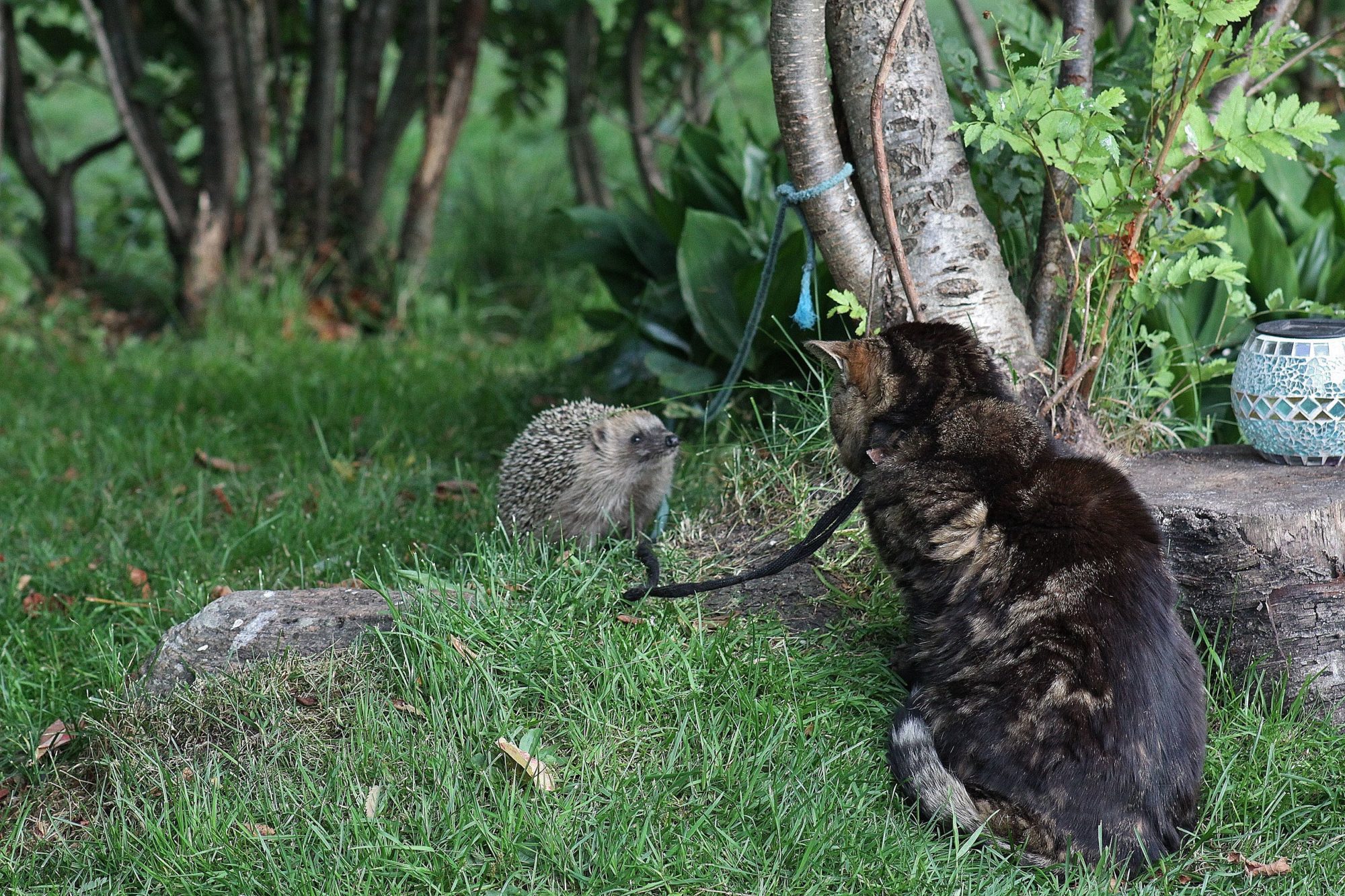Valokuvaaja: Pirkko Siukonen