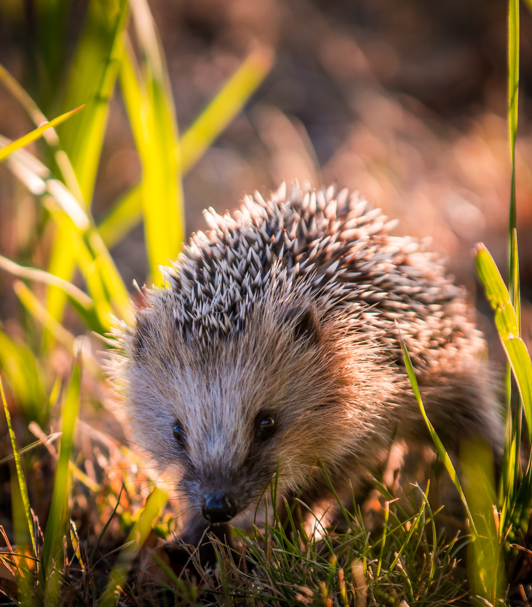 Valokuvaaja: Jukka Risikko Valokuvaaja: Jukka Risikko