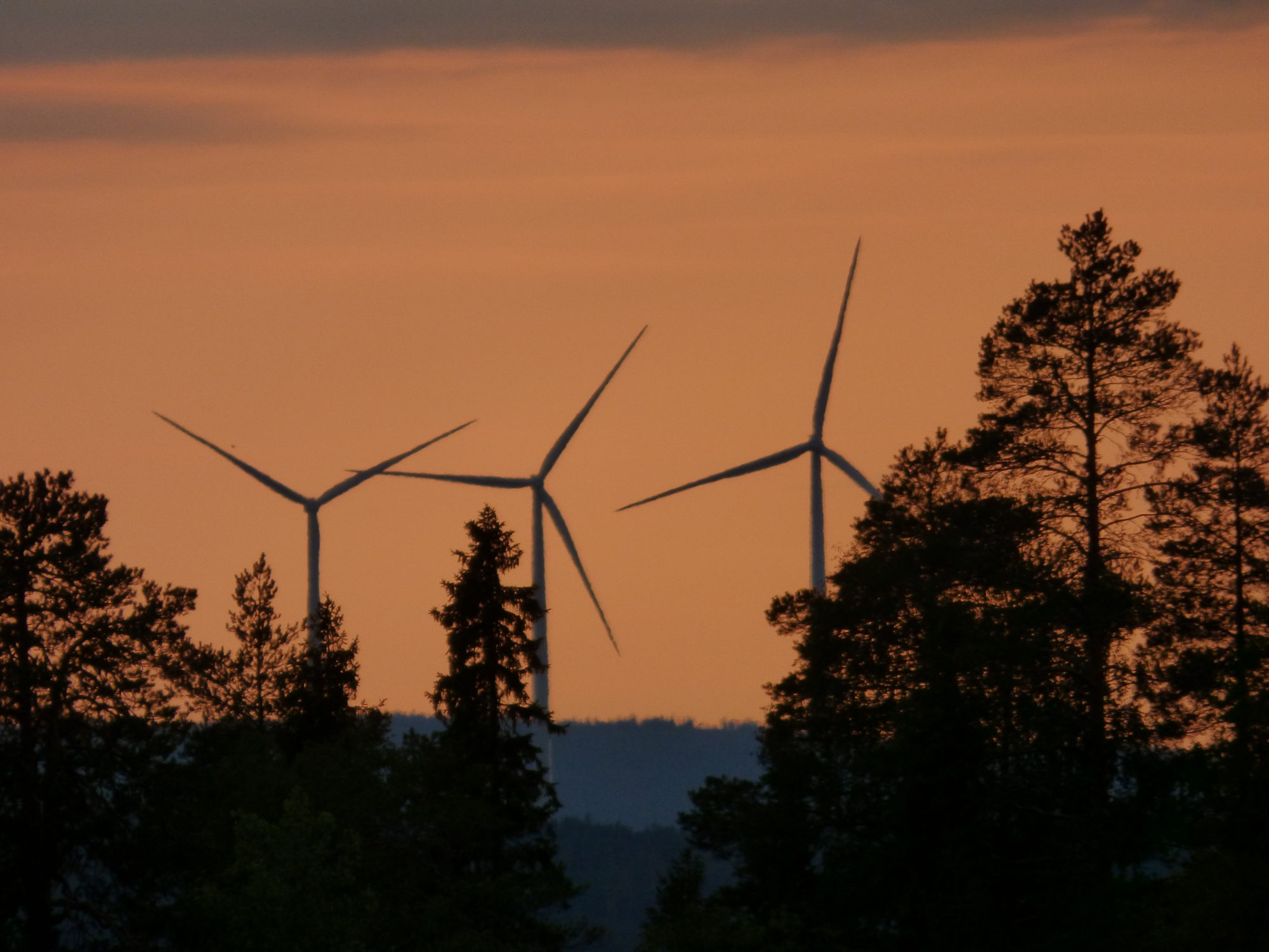 Valokuvaaja: Hannu Rissanen