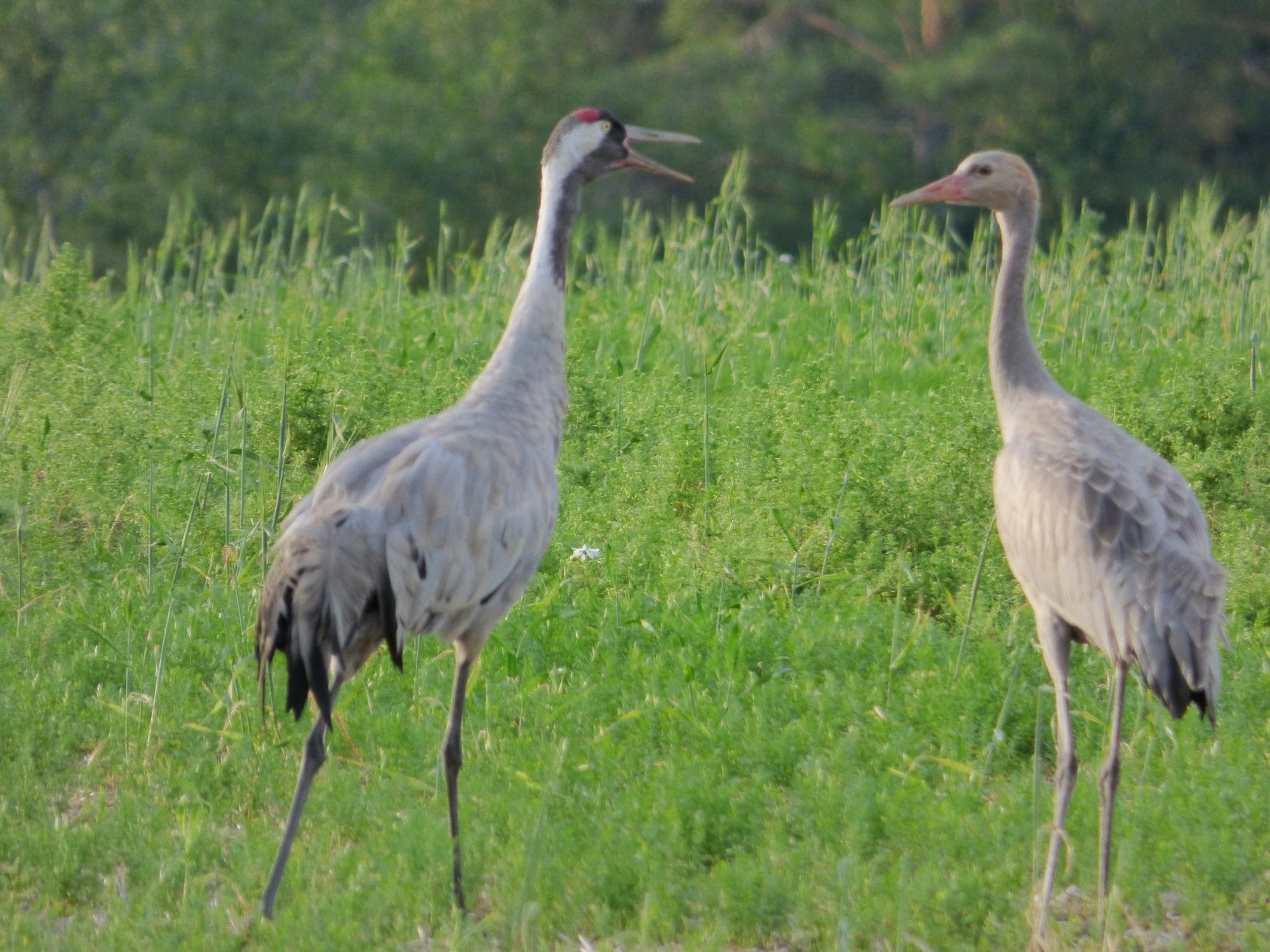Valokuvaaja: Hannu Rissanen