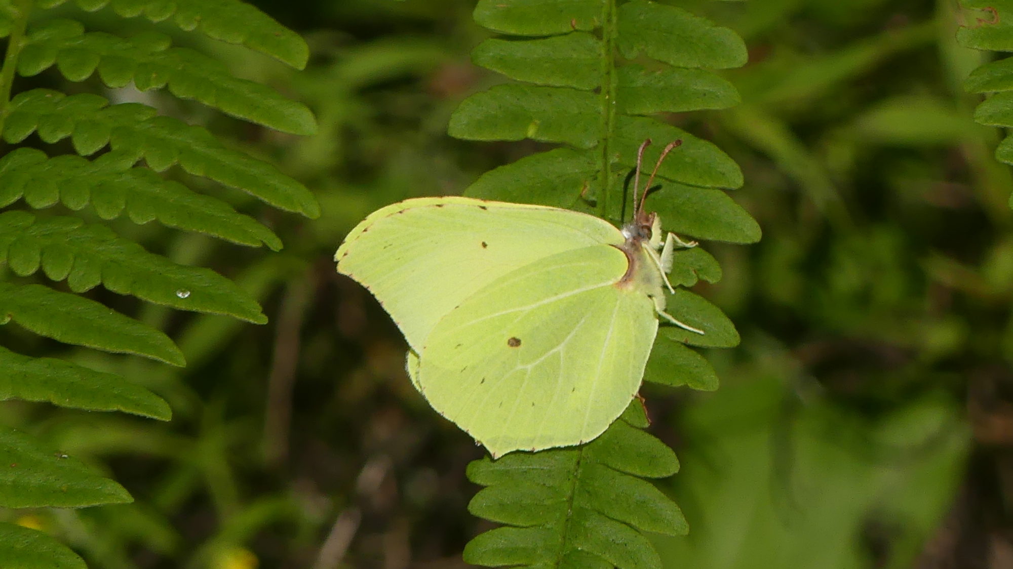 Valokuvaaja: Martti Valtonen