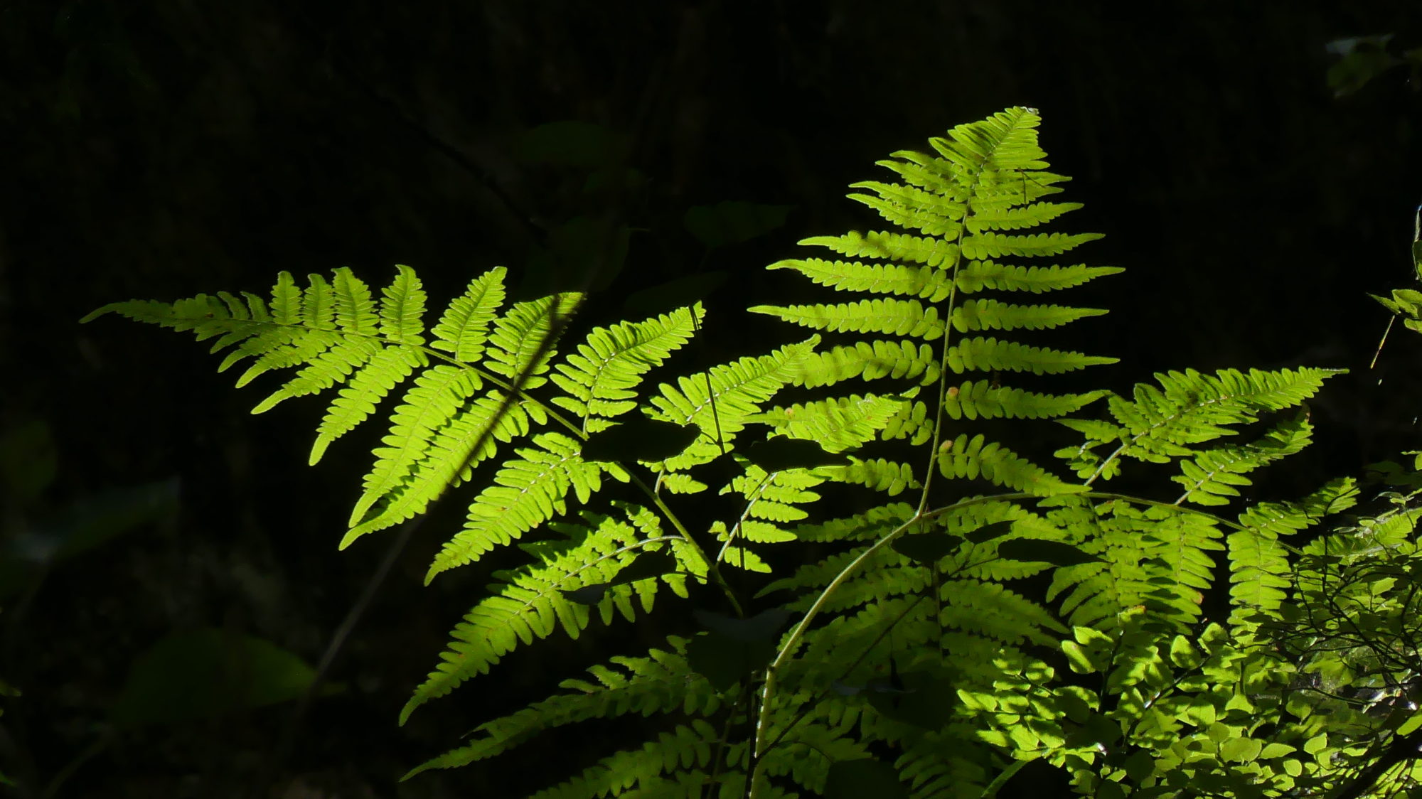Valokuvaaja: Martti Valtonen