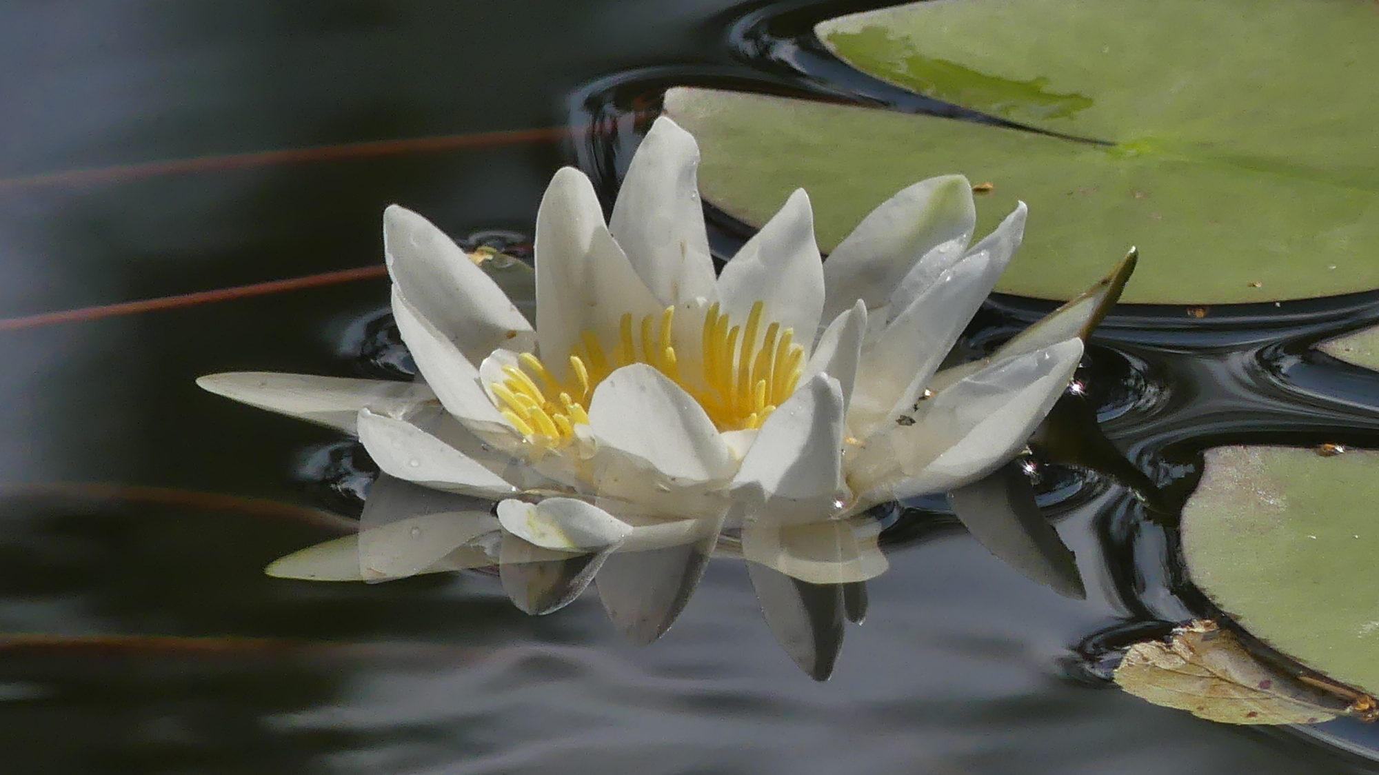 Valokuvaaja: Martti Valtonen