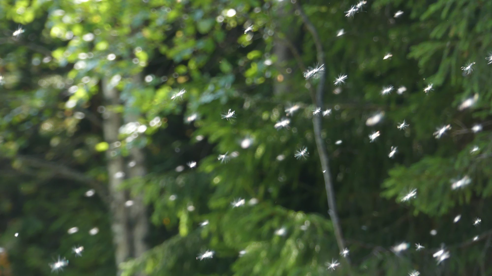 Valokuvaaja: Martti Valtonen