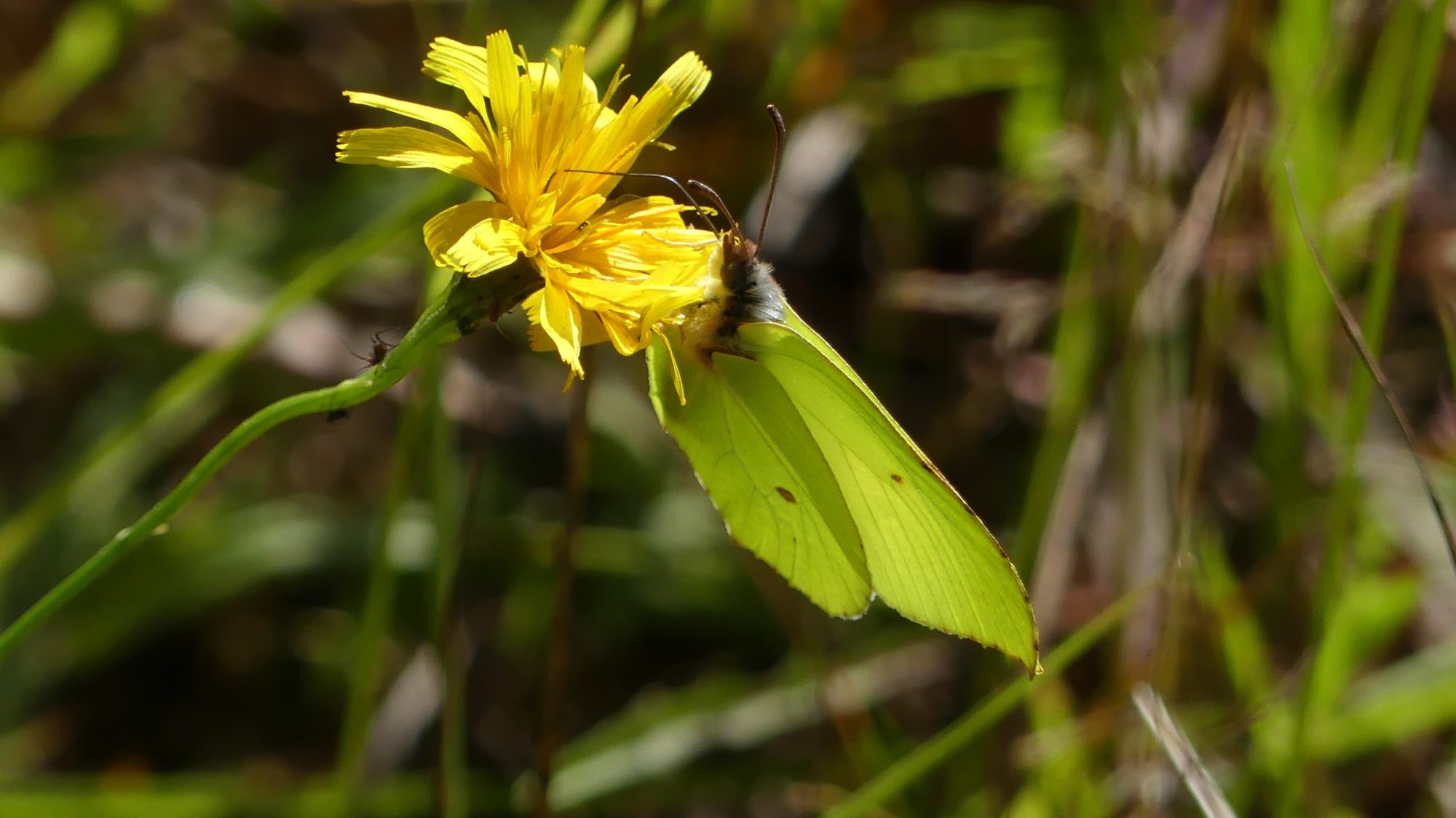Valokuvaaja: Martti Valtonen