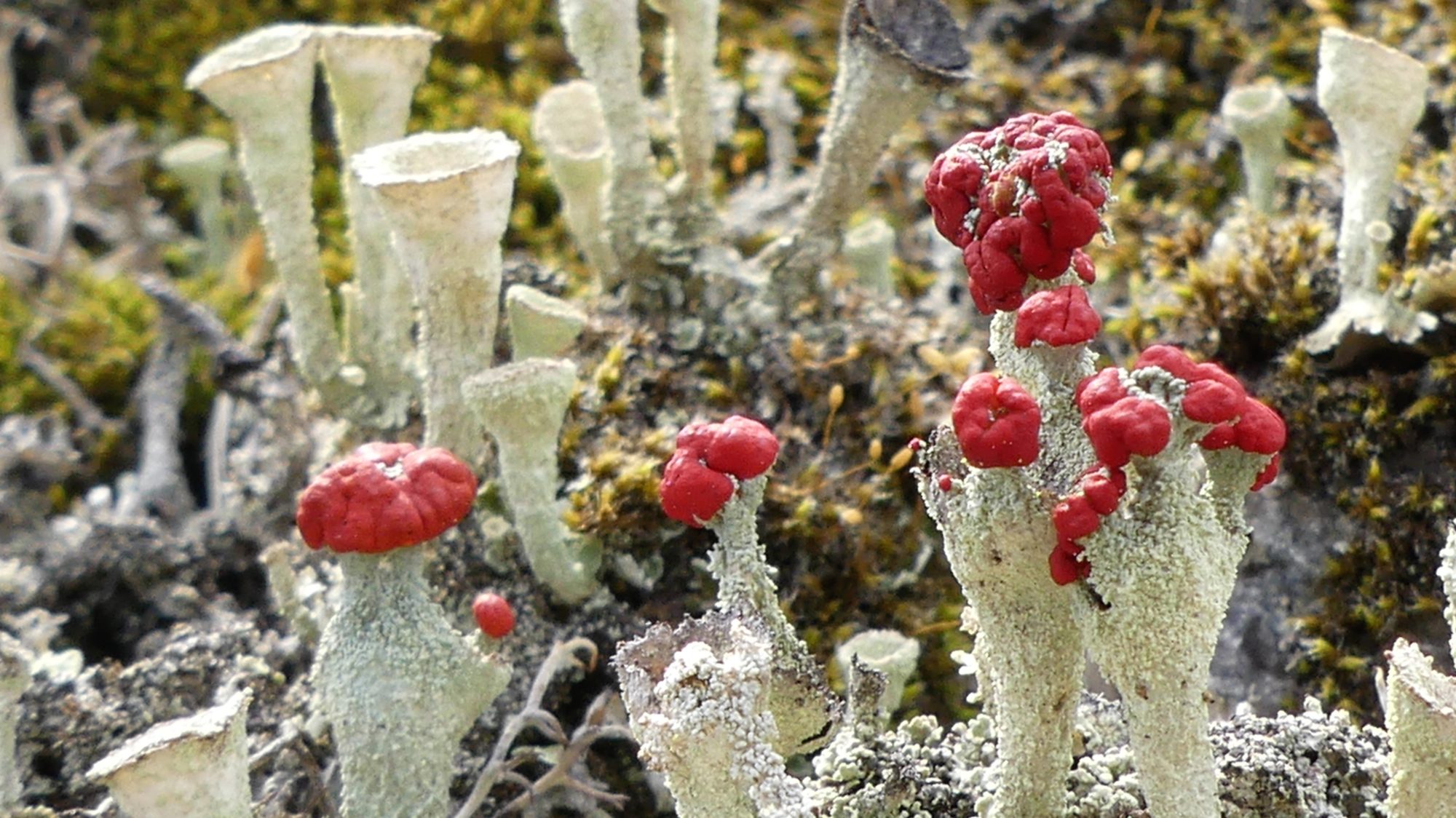 Valokuvaaja: Martti Valtonen