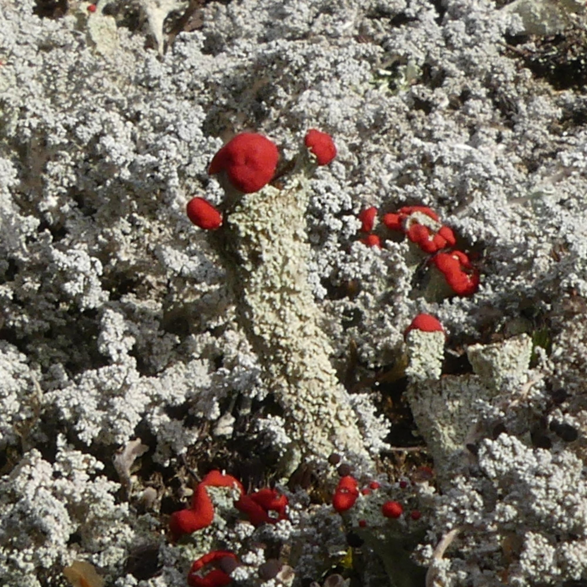 Valokuvaaja: Martti Valtonen