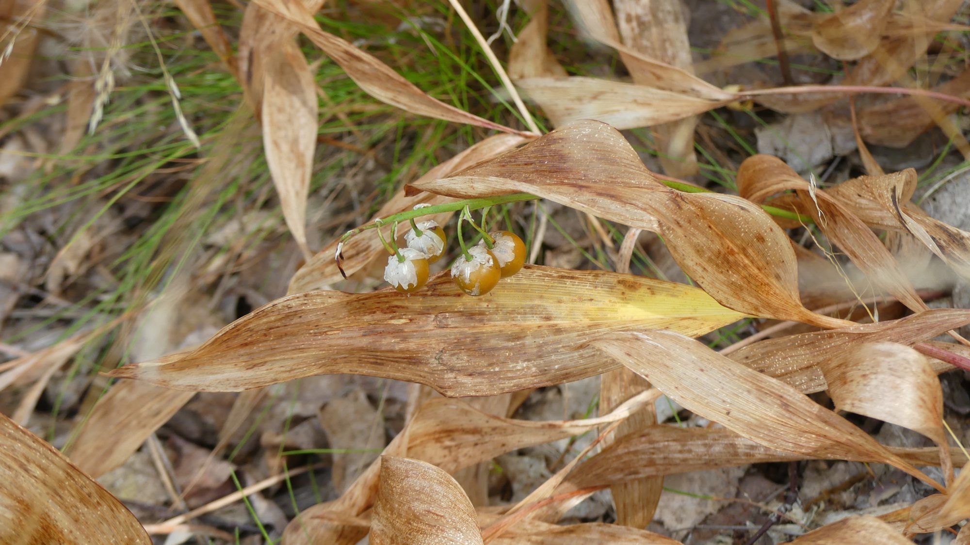 Valokuvaaja: Martti Valtonen