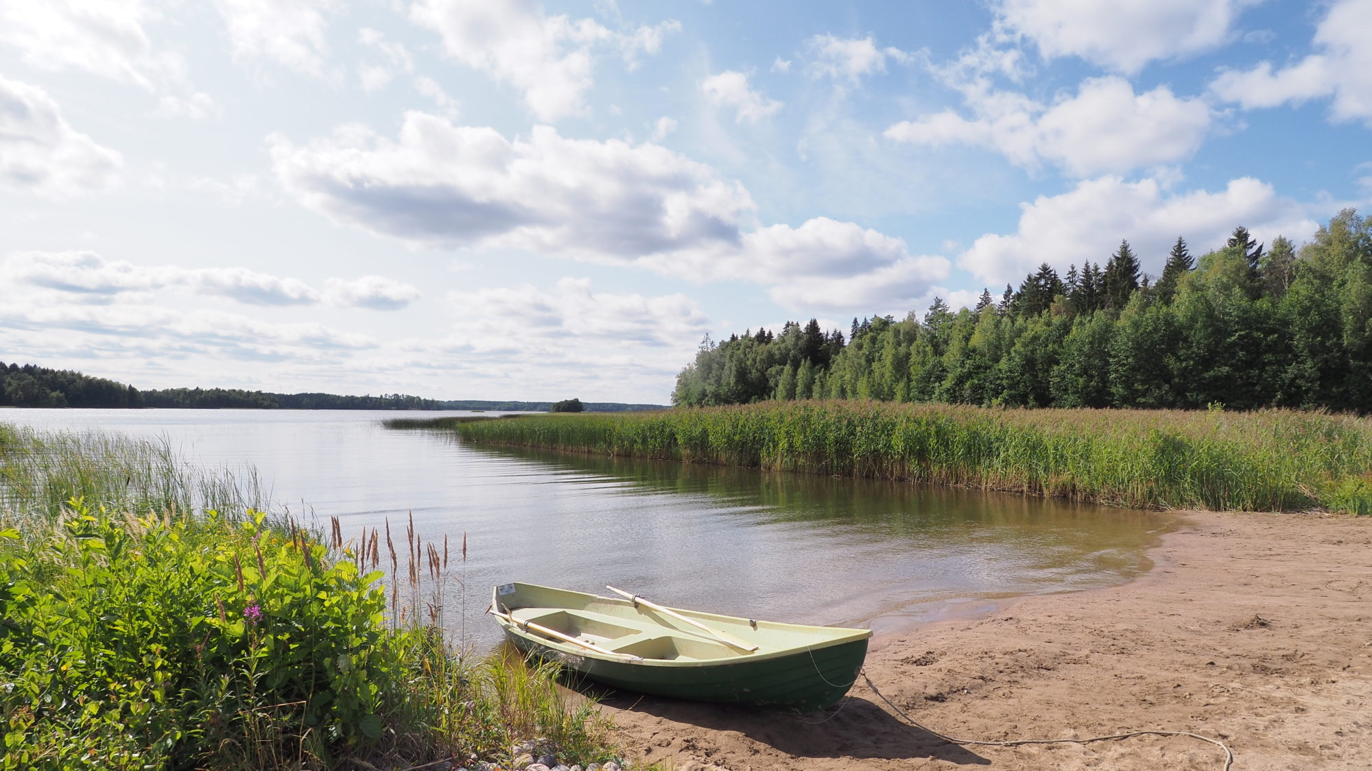 Valokuvaaja: Arja Valtonen