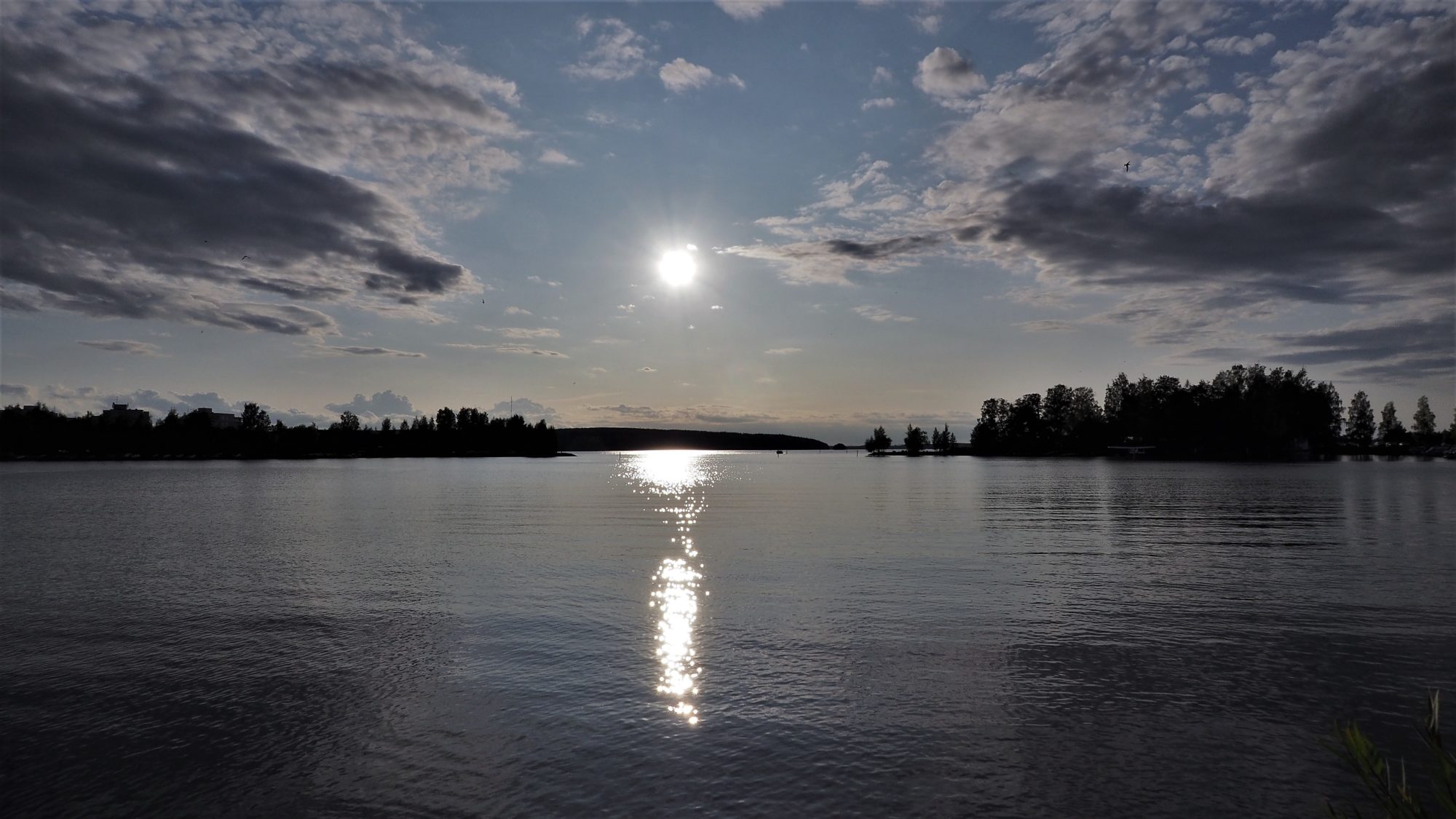 Valokuvaaja: Arja Valtonen