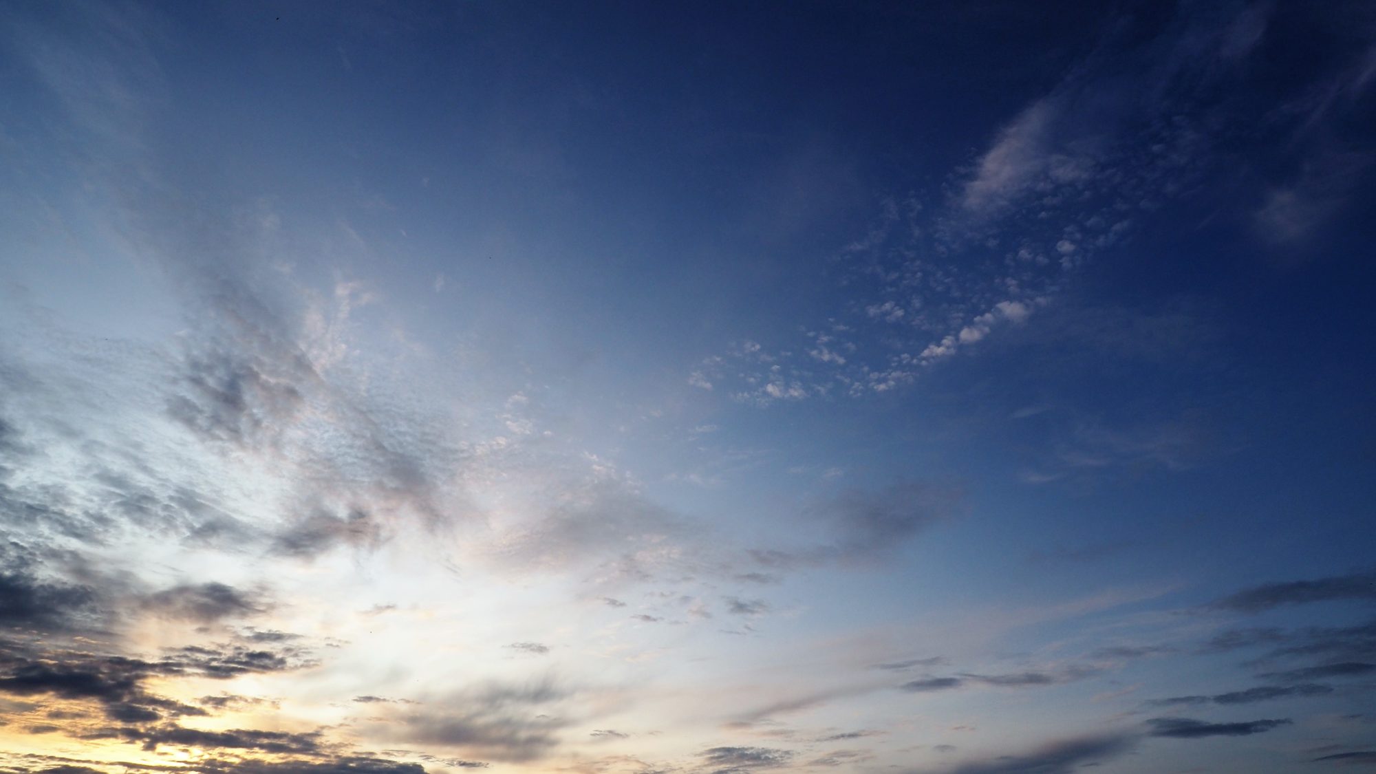 Valokuvaaja: Arja Valtonen