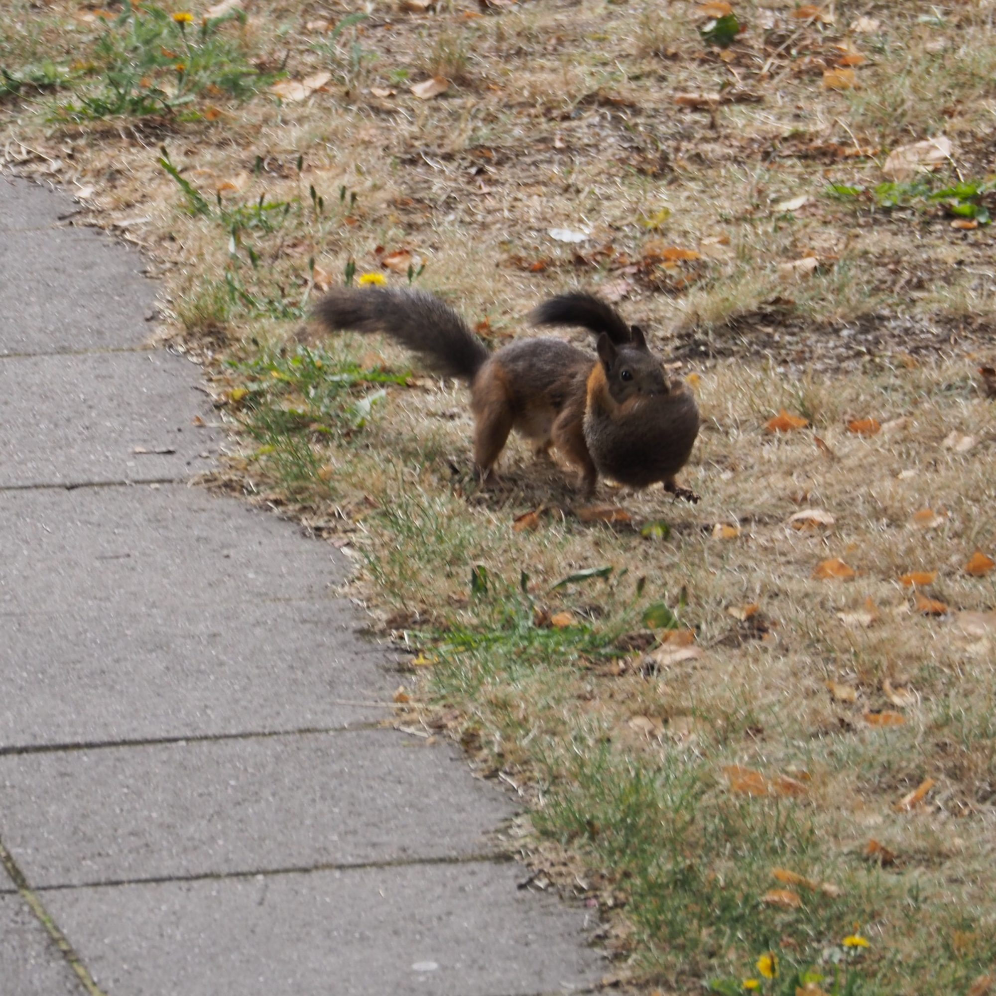 Valokuvaaja: Martti Valtonen