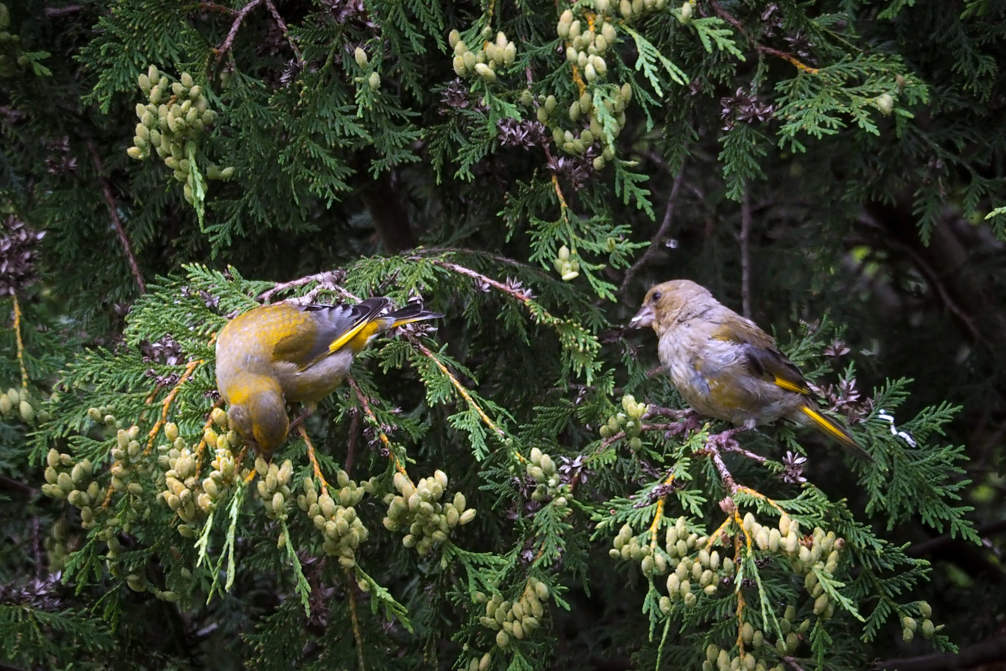 Valokuvaaja: Aki Jalava