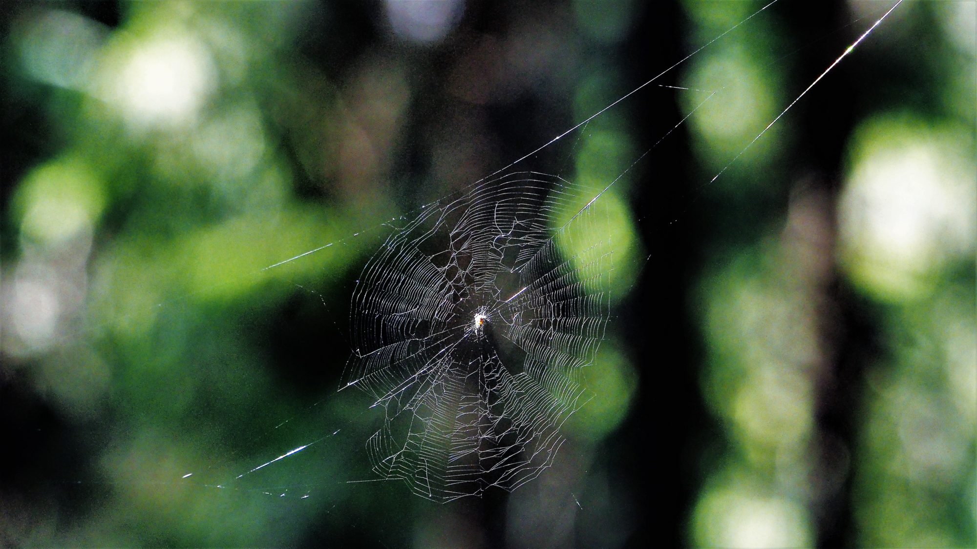 Valokuvaaja: Arja Valtonen Valokuvaaja: Arja Valtonen