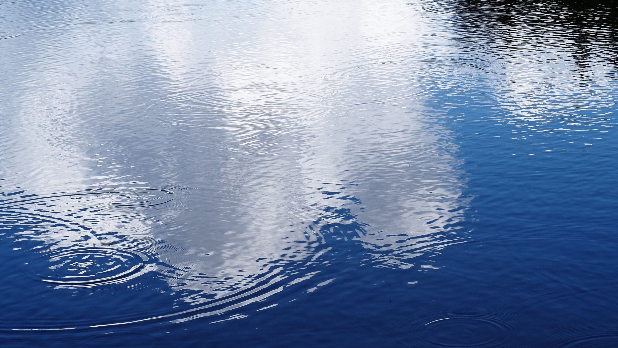 Valokuvaaja: Arja Valtonen