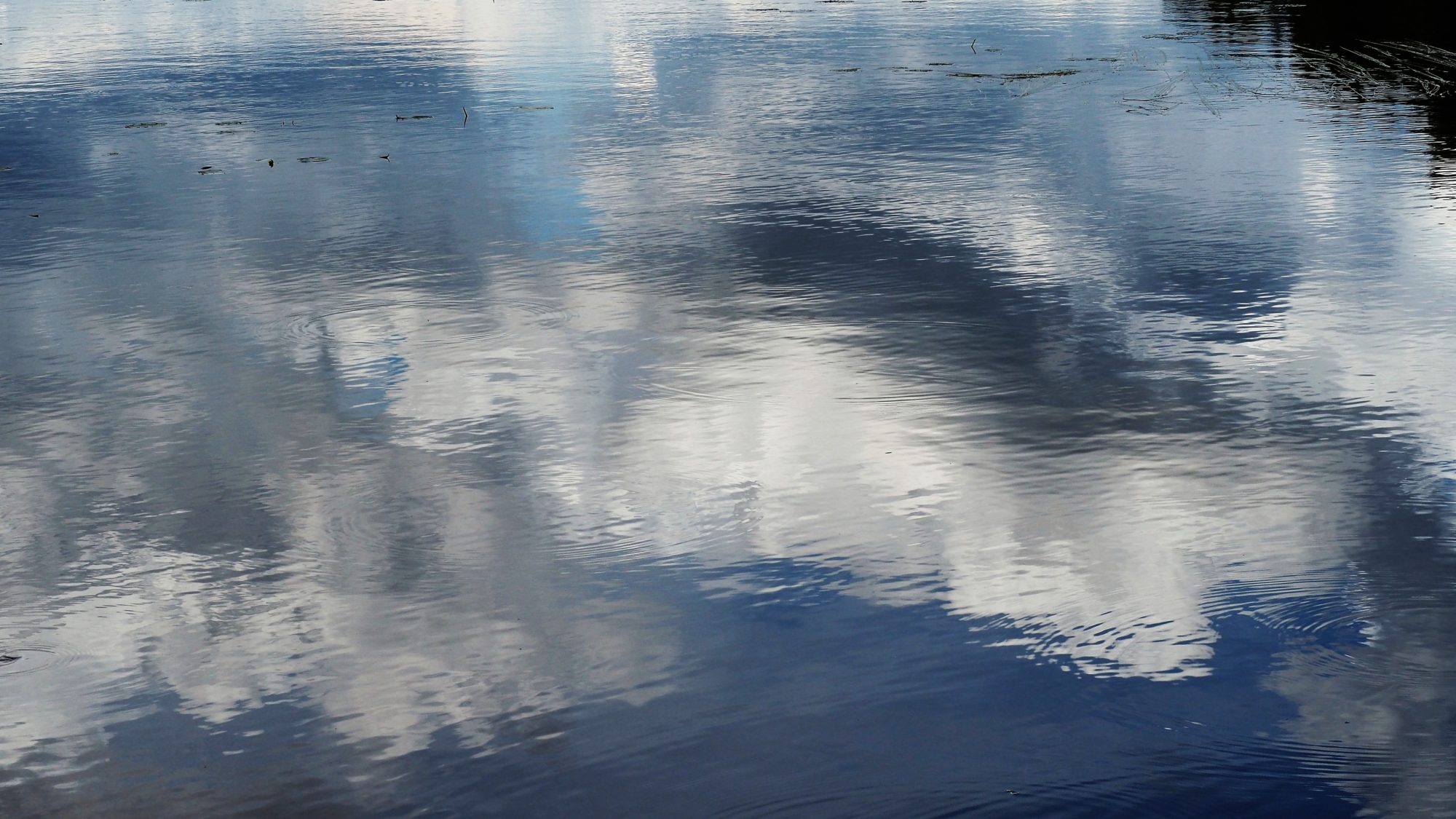 Valokuvaaja: Arja Valtonen