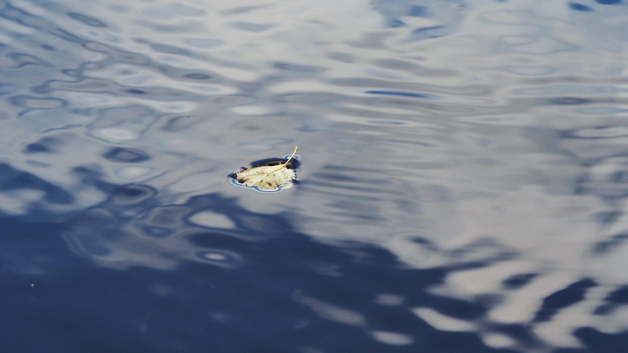 Valokuvaaja: Arja Valtonen