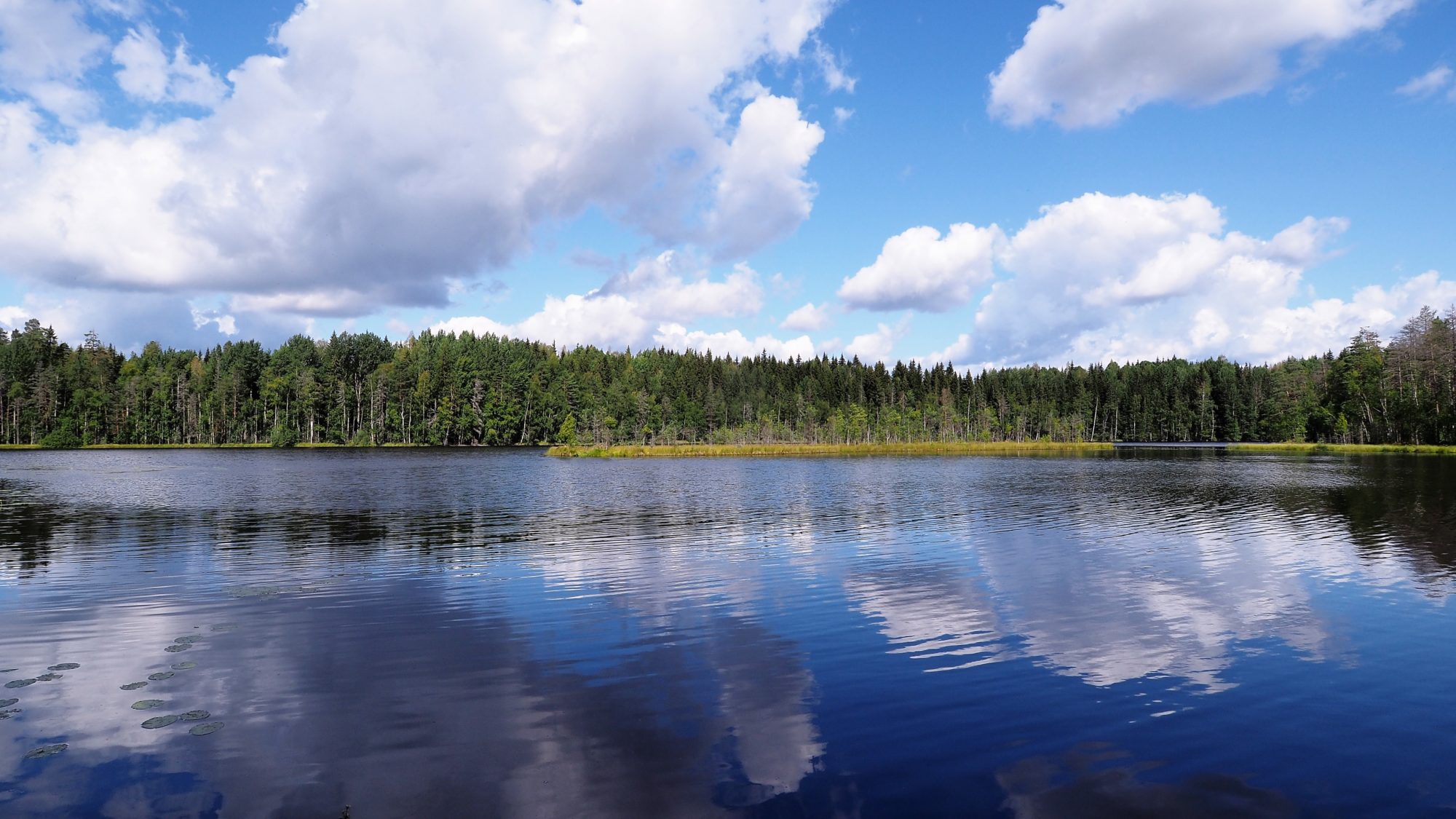 Valokuvaaja: Arja Valtonen