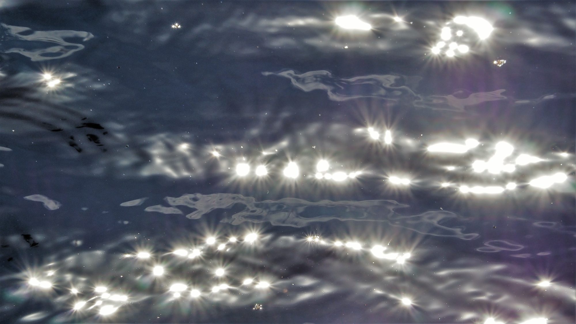 Valokuvaaja: Arja Valtonen