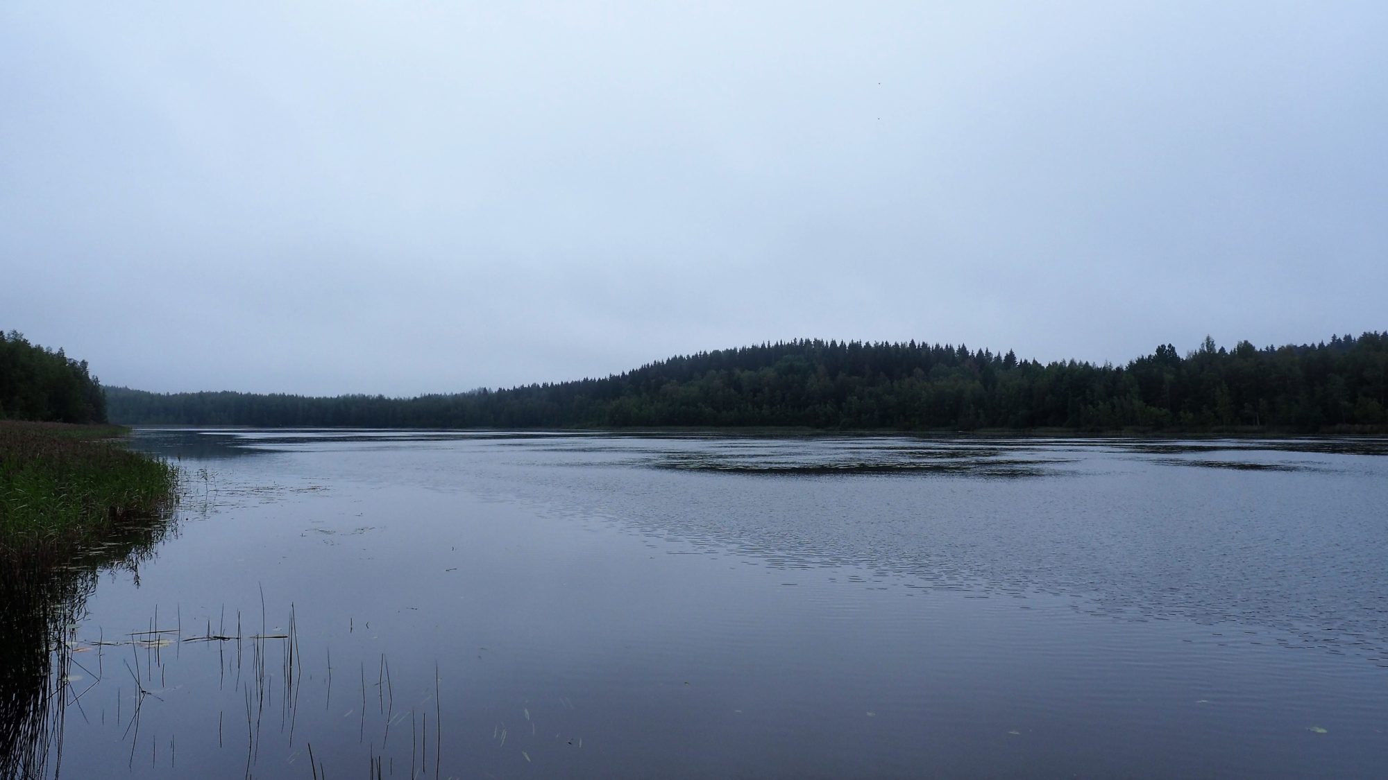 Valokuvaaja: Arja Valtonen