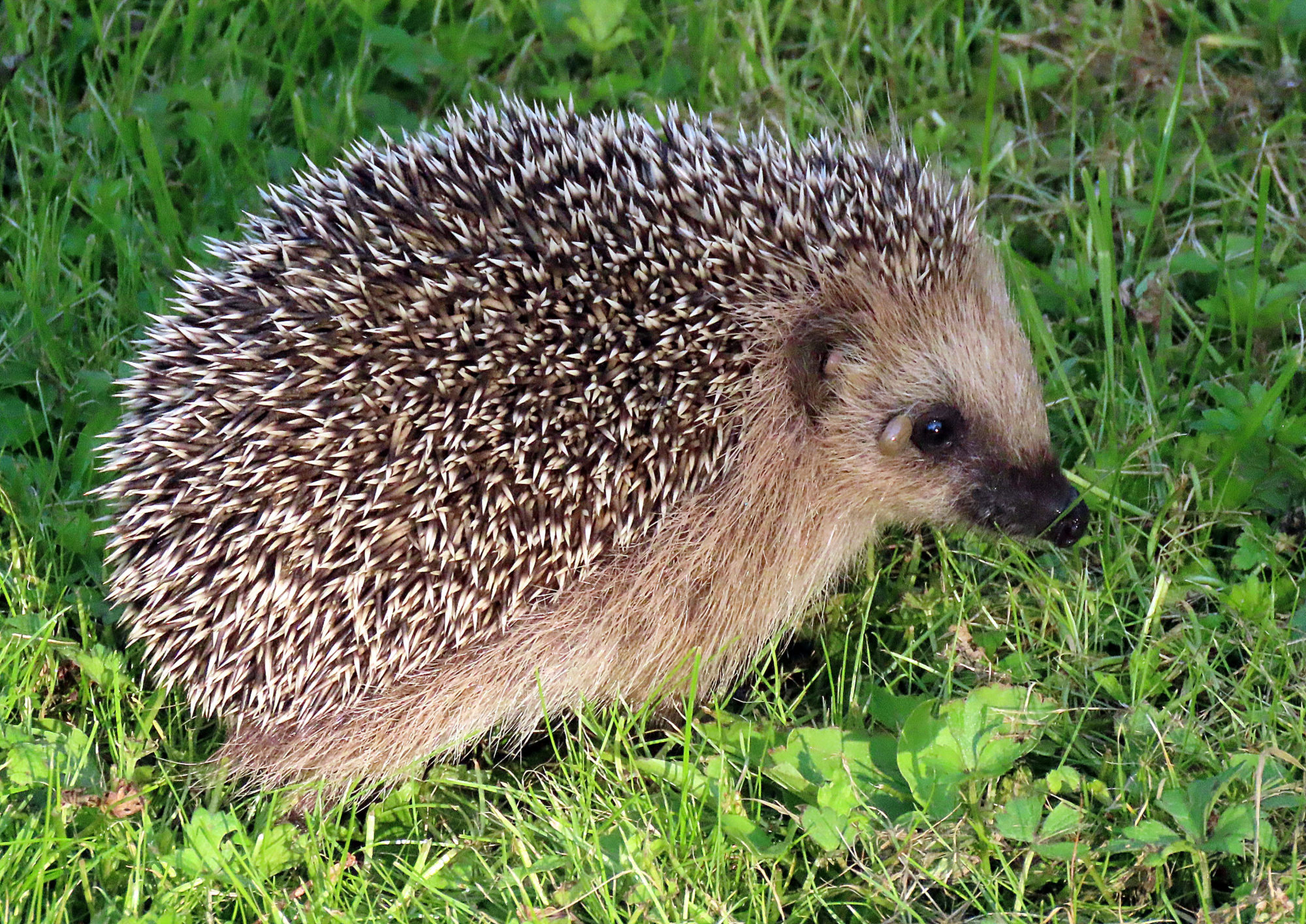 Valokuvaaja: Vaittinen Jukka