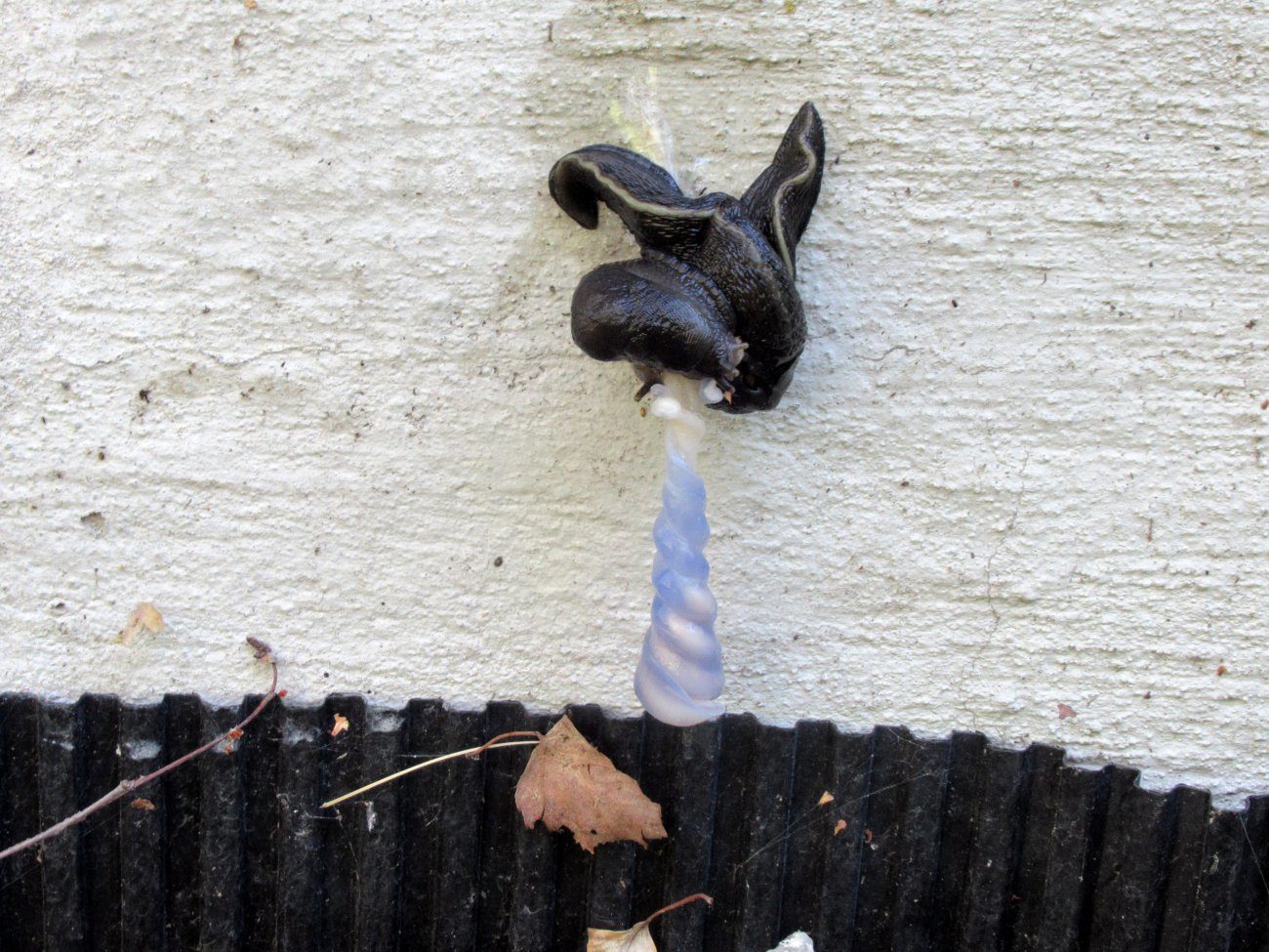 Valokuvaaja: Kai Kankare