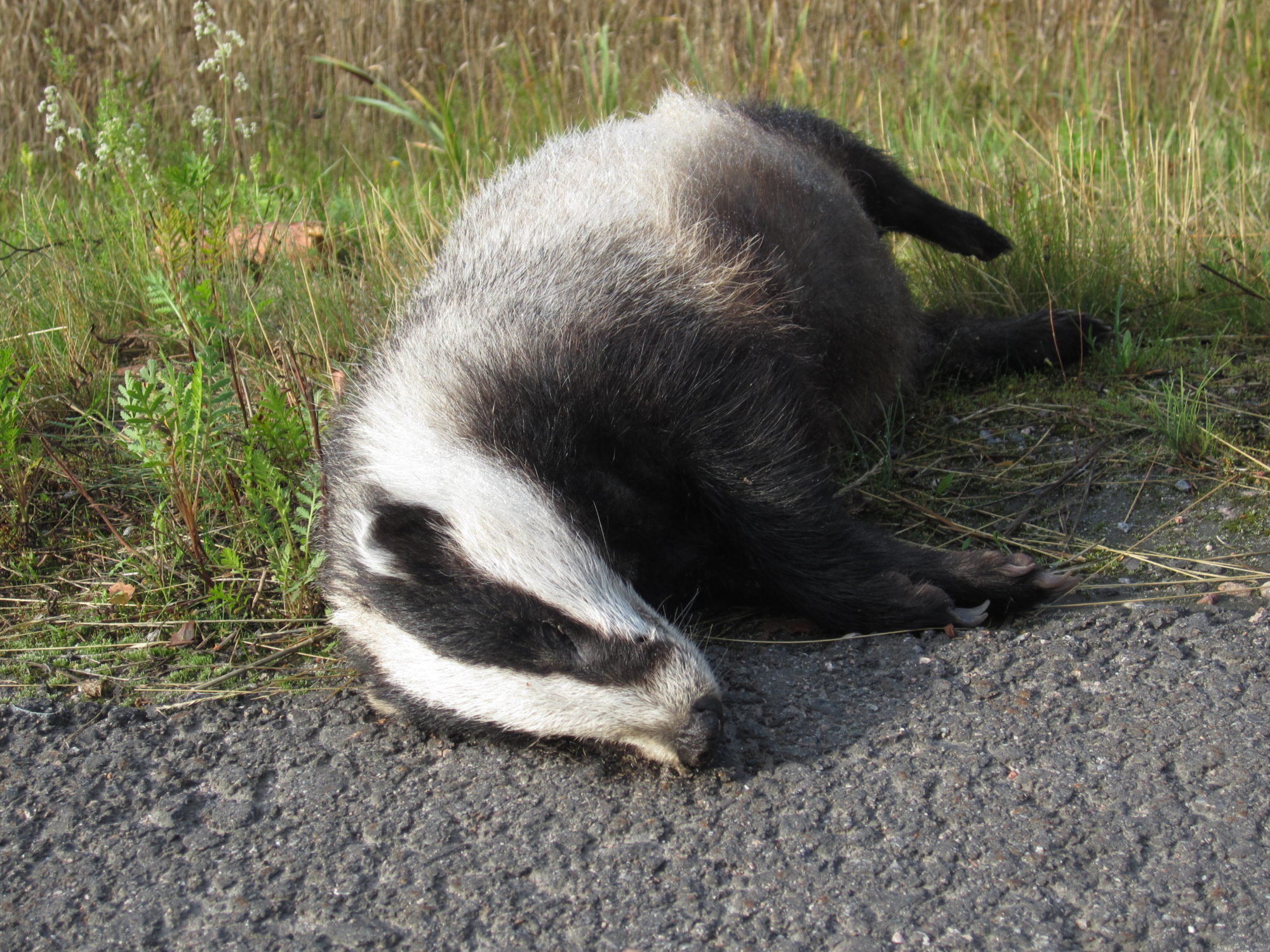 Valokuvaaja: Marita Portin
