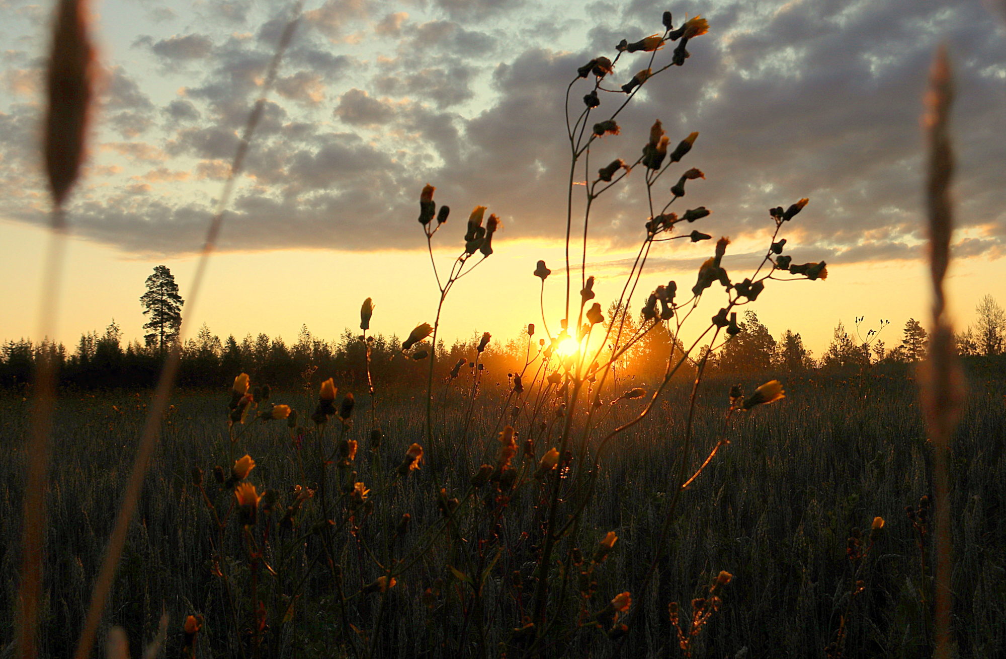 Valokuvaaja: sirpa jyske