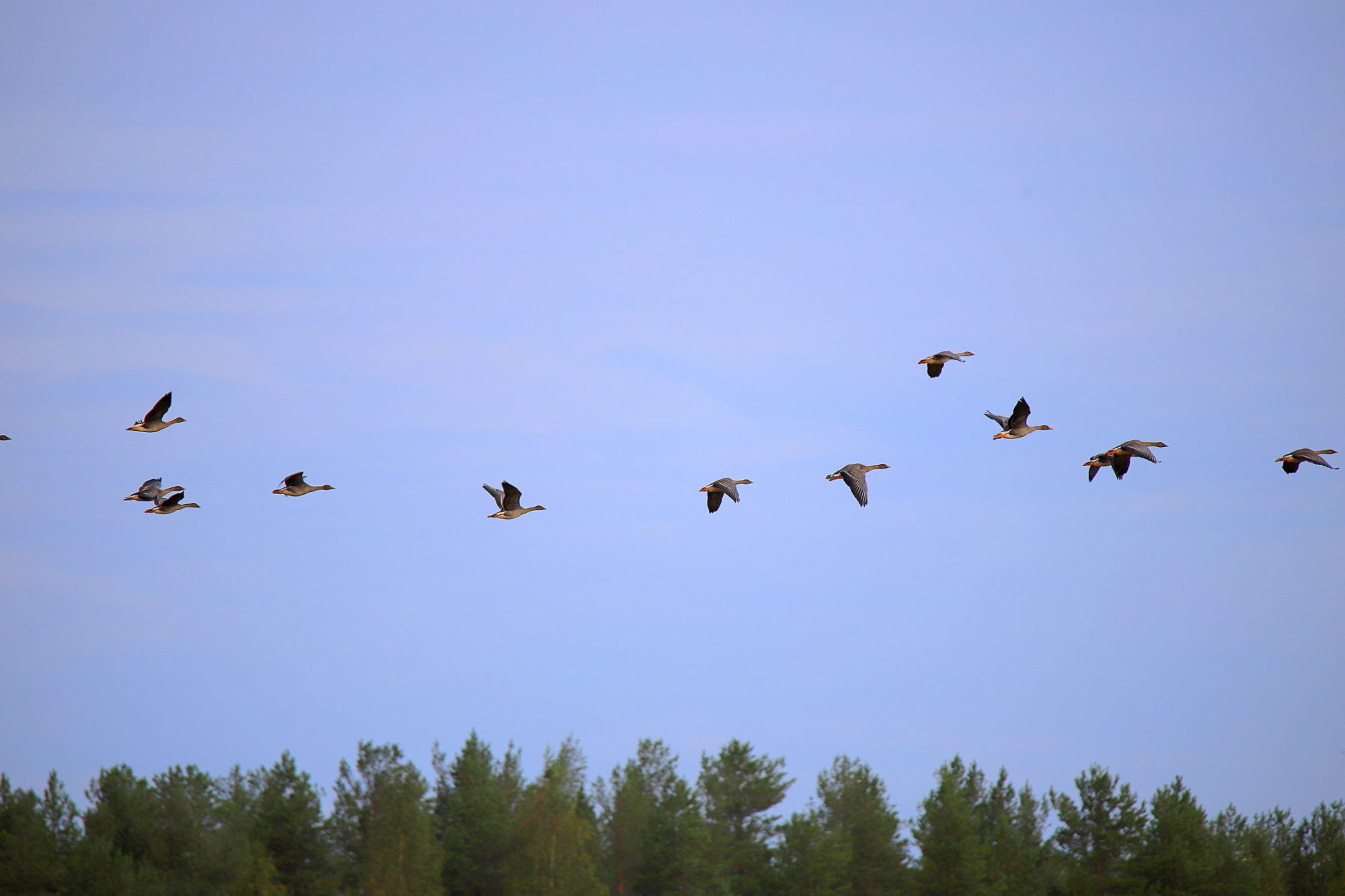 Valokuvaaja: sirpa jyske