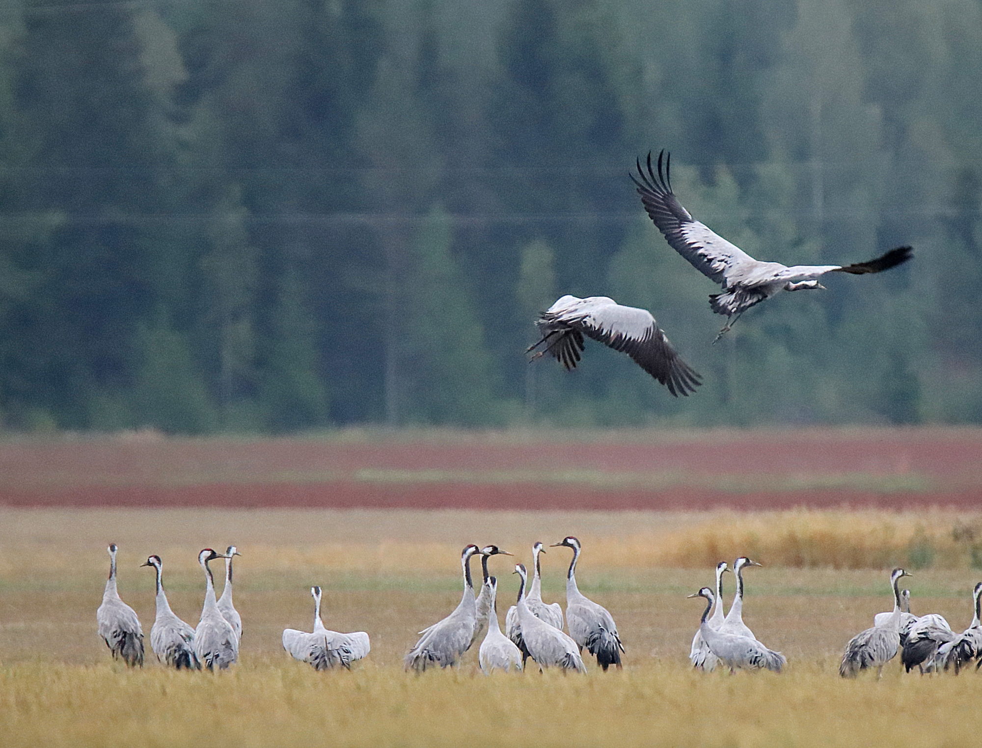Valokuvaaja: sirpa jyske