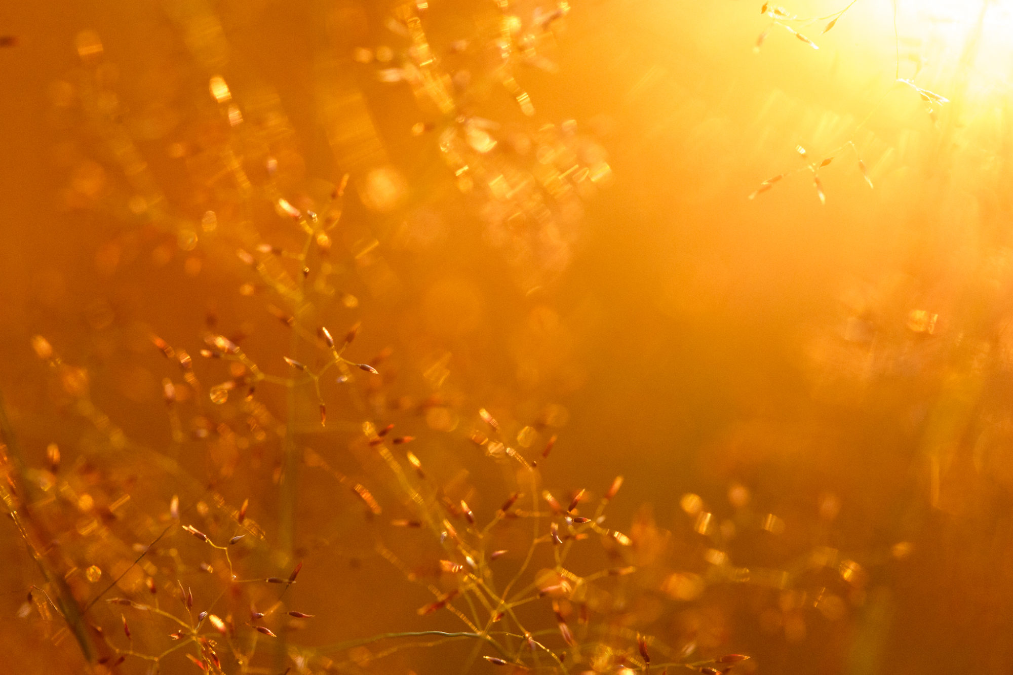 Valokuvaaja: Antti Toivanen