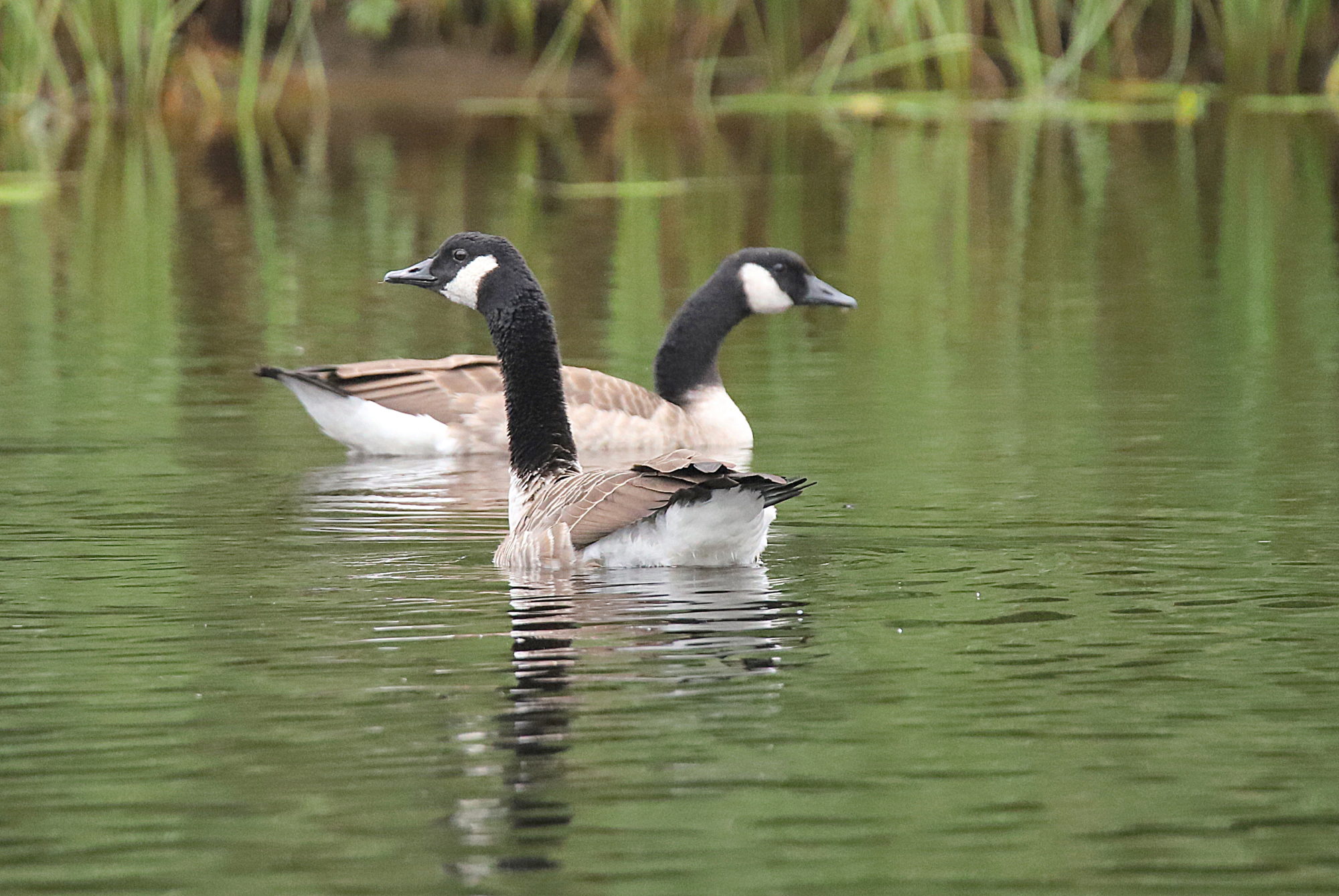 Valokuvaaja: sirpa jyske